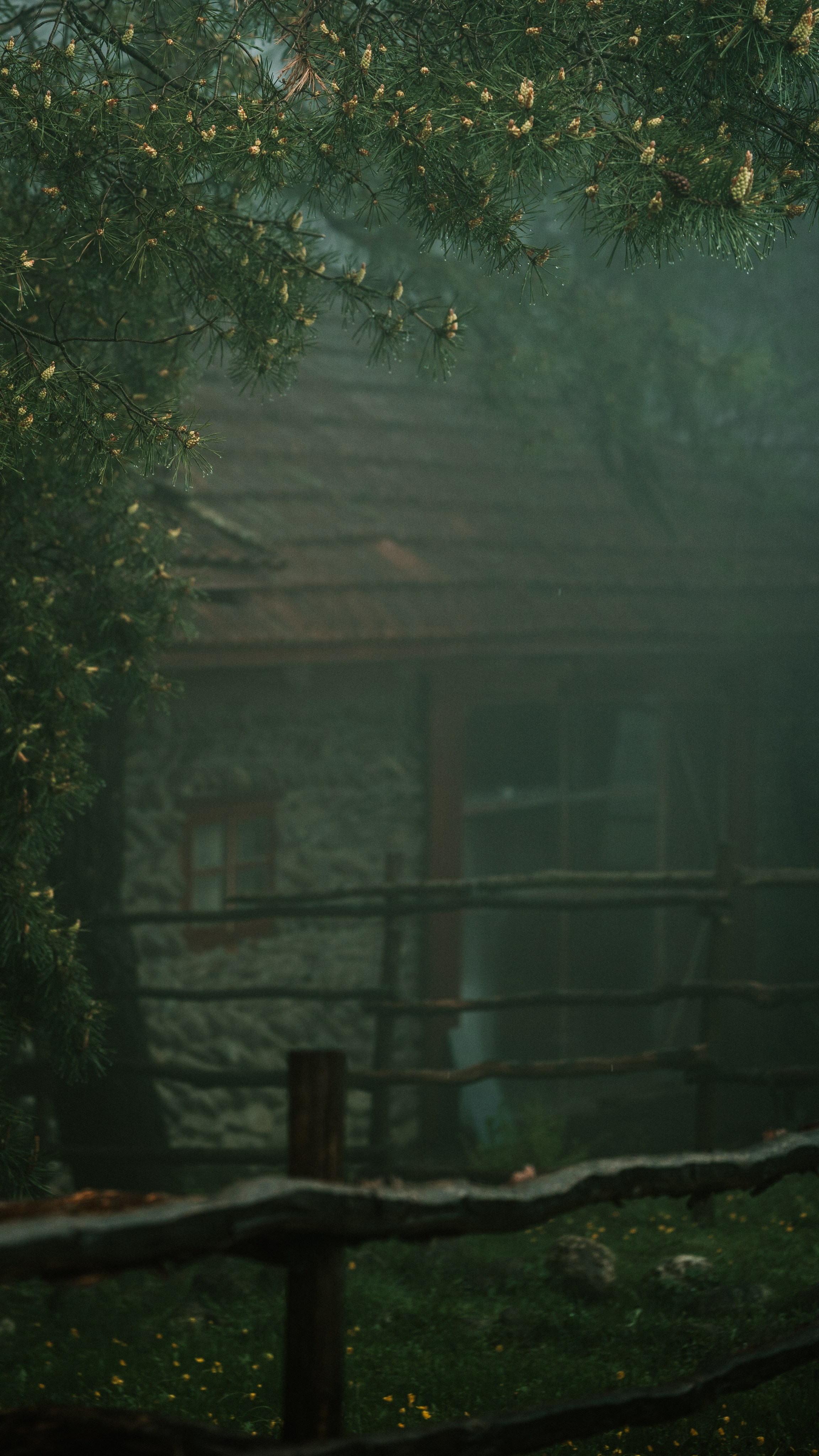 Альбом. Худший фотограф