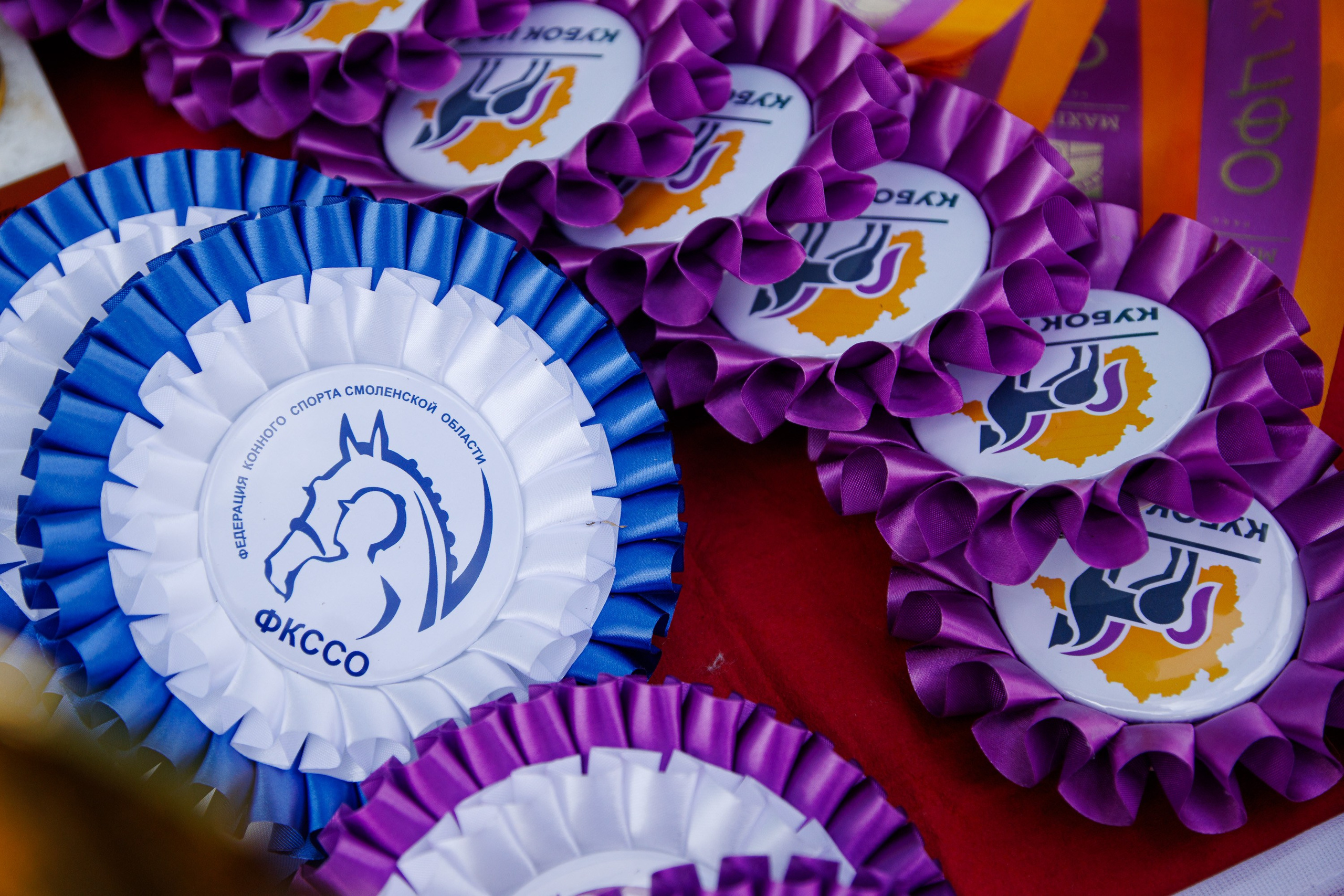 Конный спорт. Спортивный фотограф Вадим Добедченков