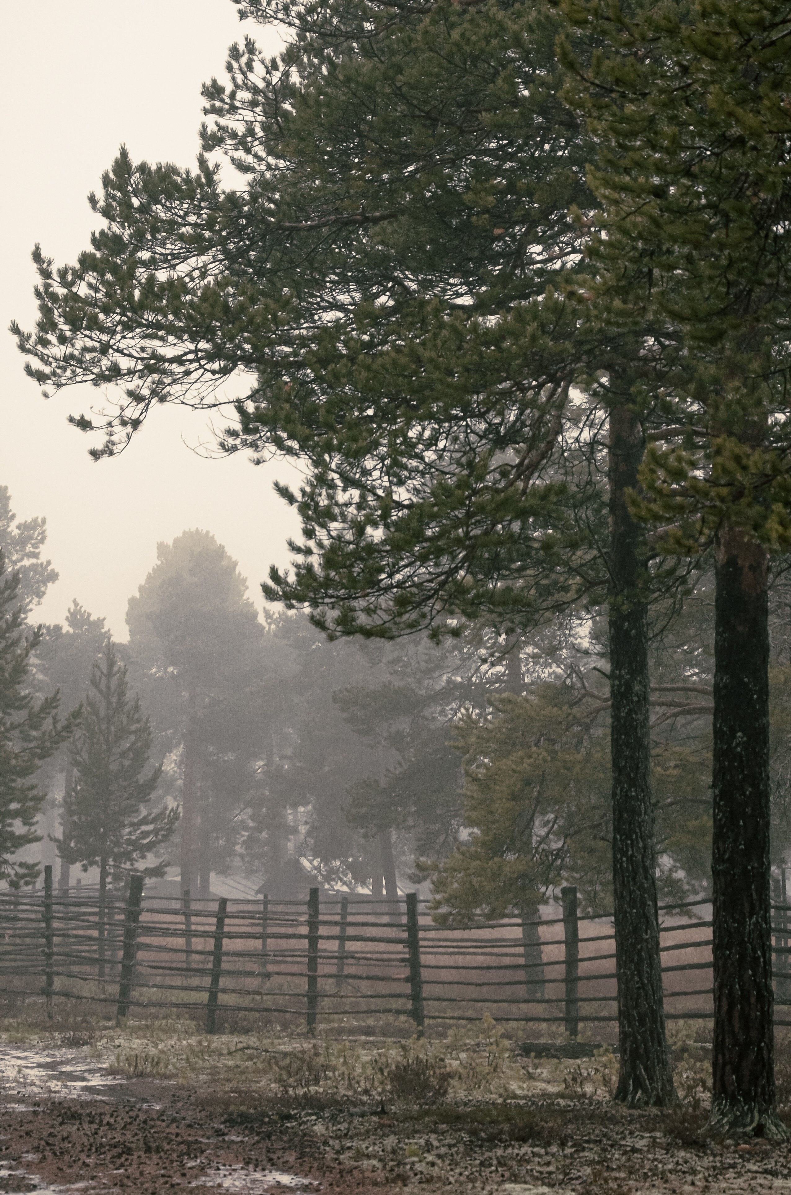 Тайга. Фотография — это миг, который фиксирует вечность