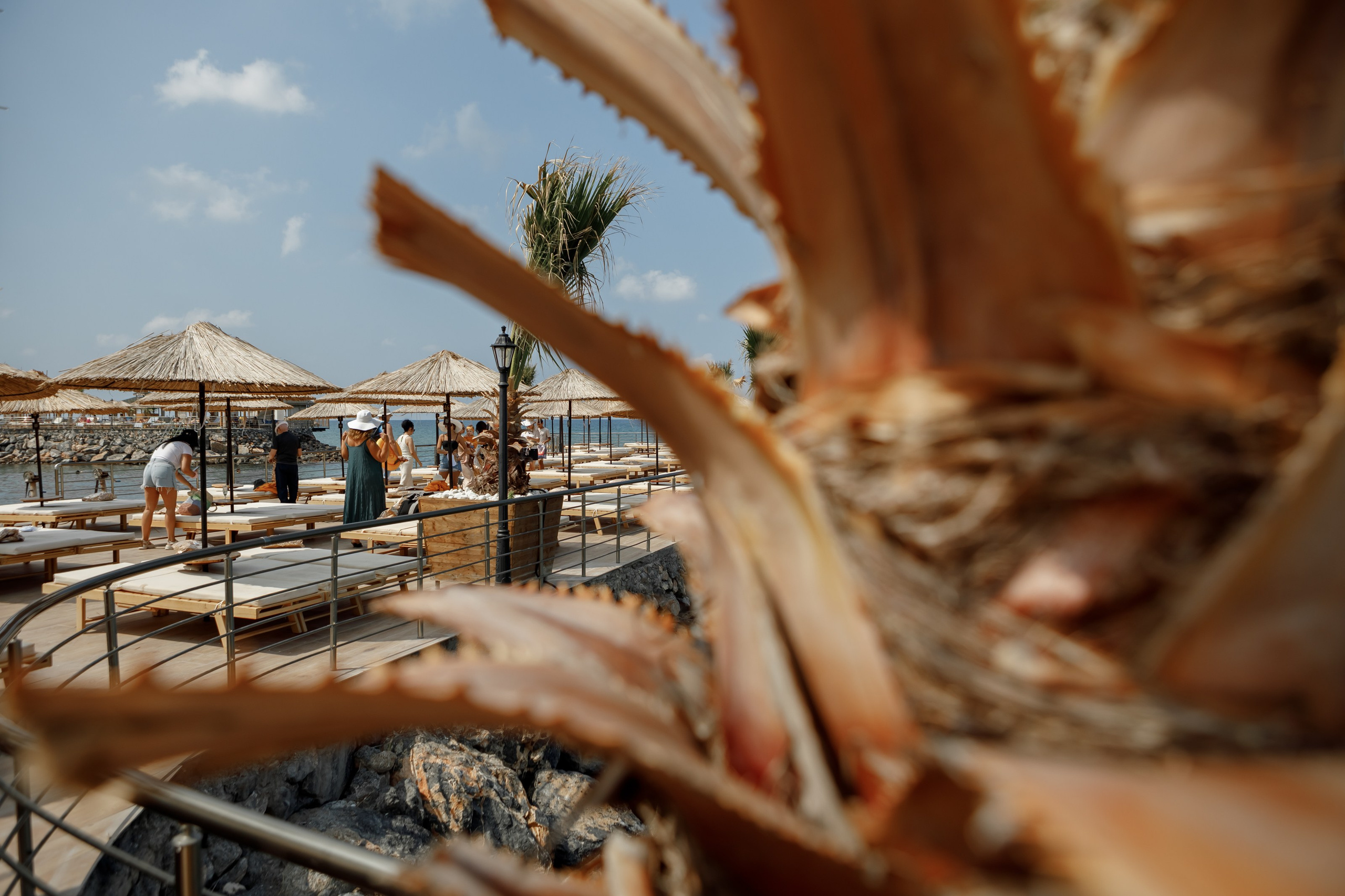 Birthday Party. Фотограф в Батуми Павел Шарников