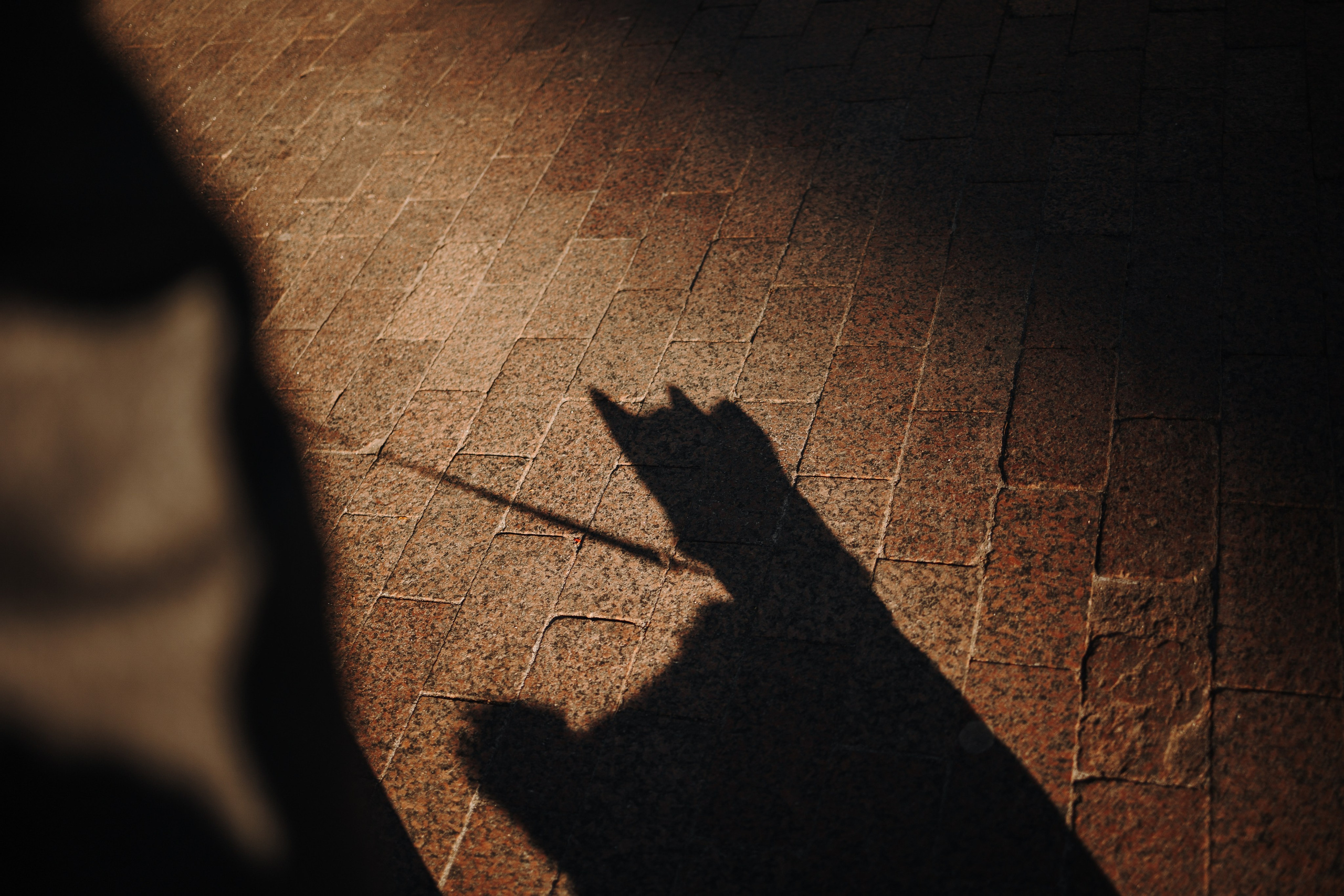 Даша и ее девочки. Фотограф — Анималист | Санкт-Петербург