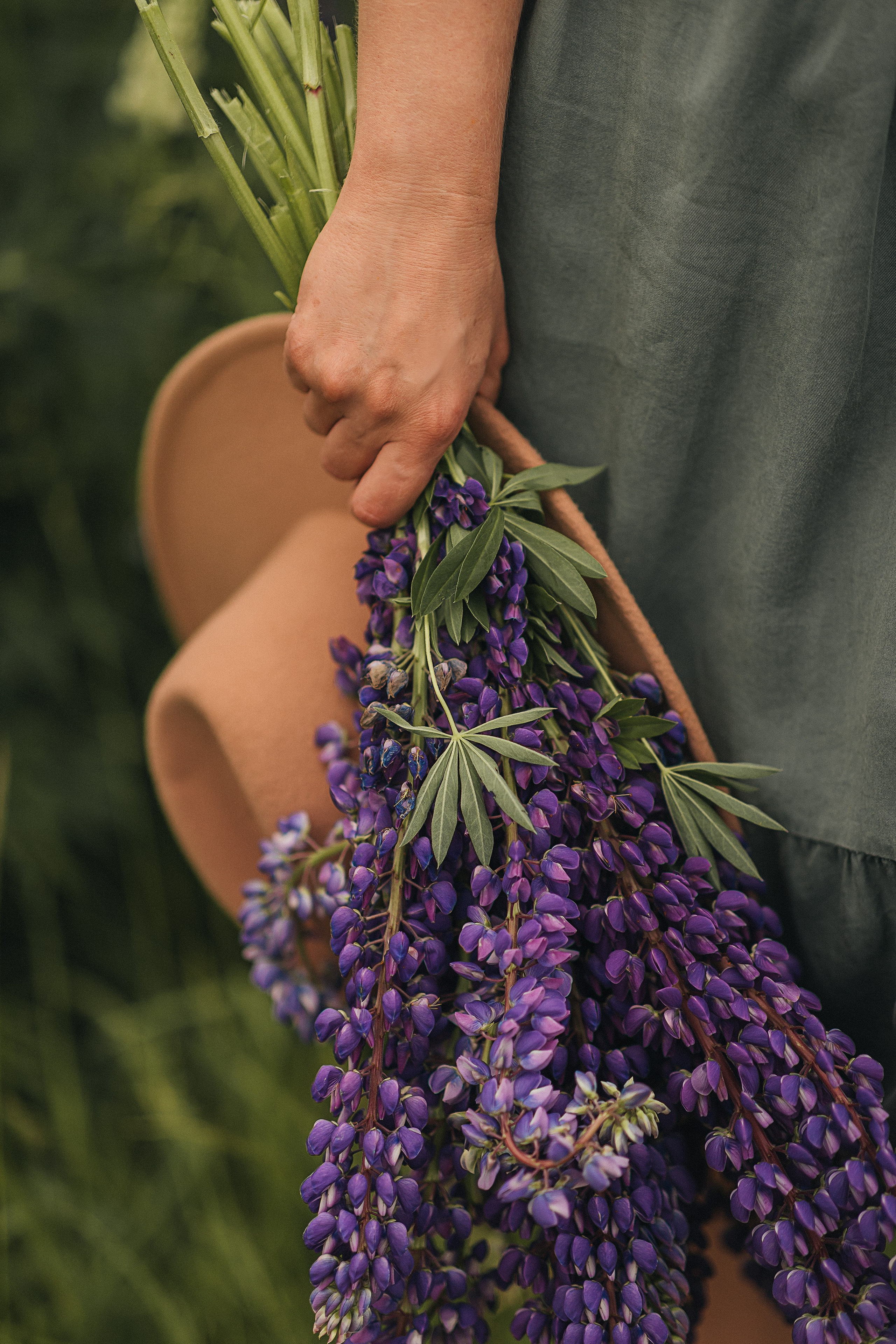 Подмосковный прованс. Фотограф Москва