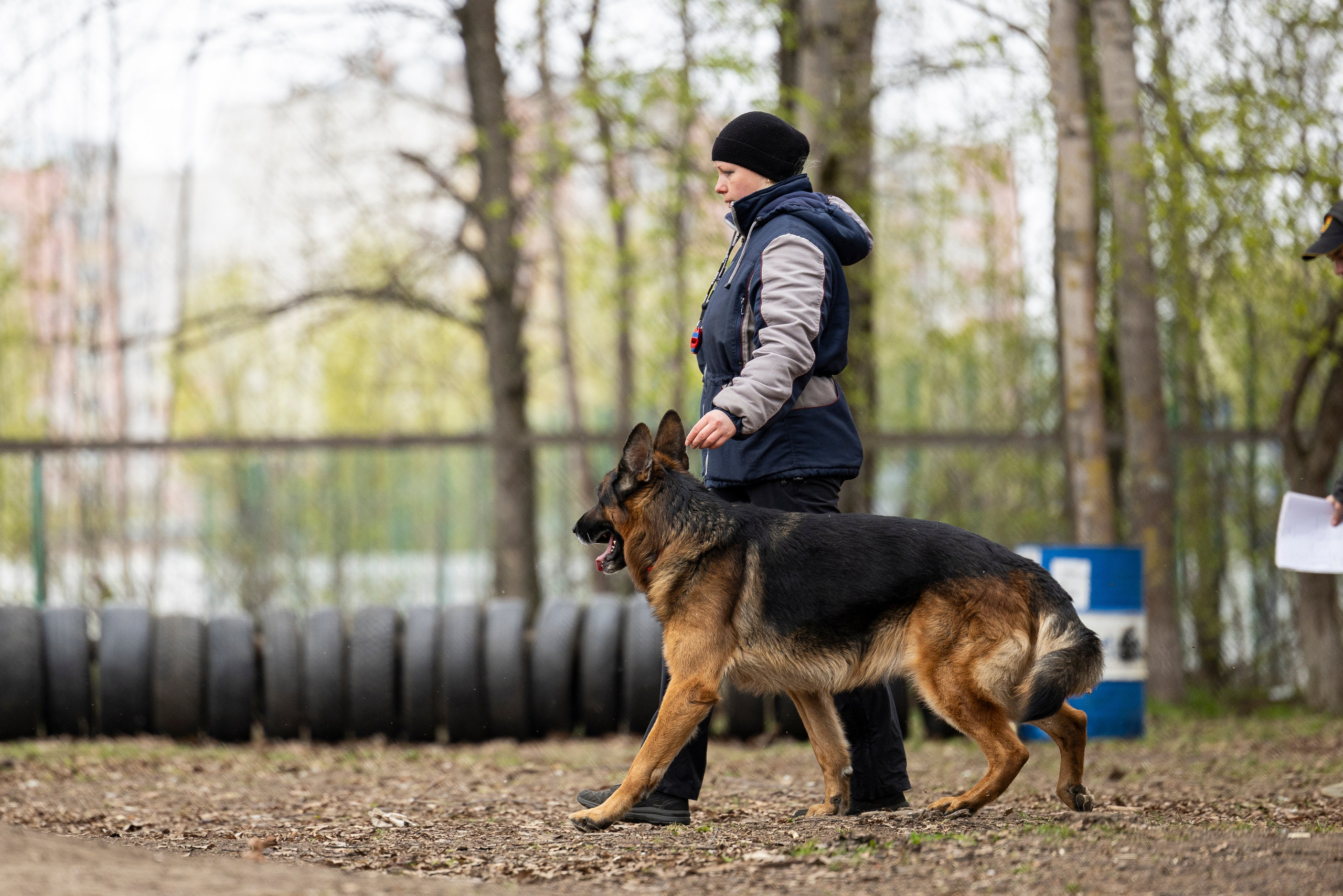 Квалификационные состязания по мондьорингу г. Вологда 11.05.24. Фотограф-анималист Анна Маринич