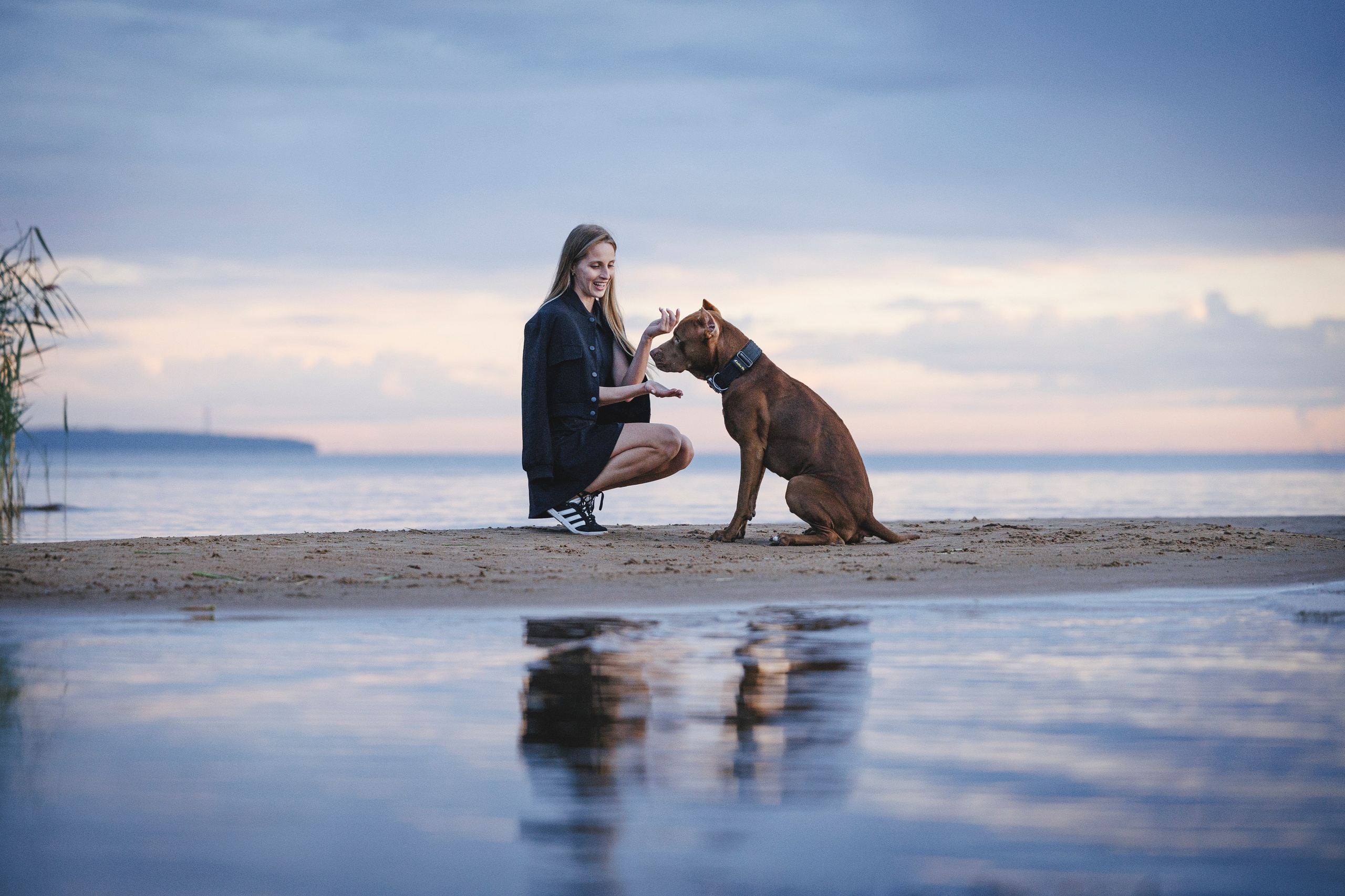 Яна и Энди. Фотограф-анималист Анна Маринич