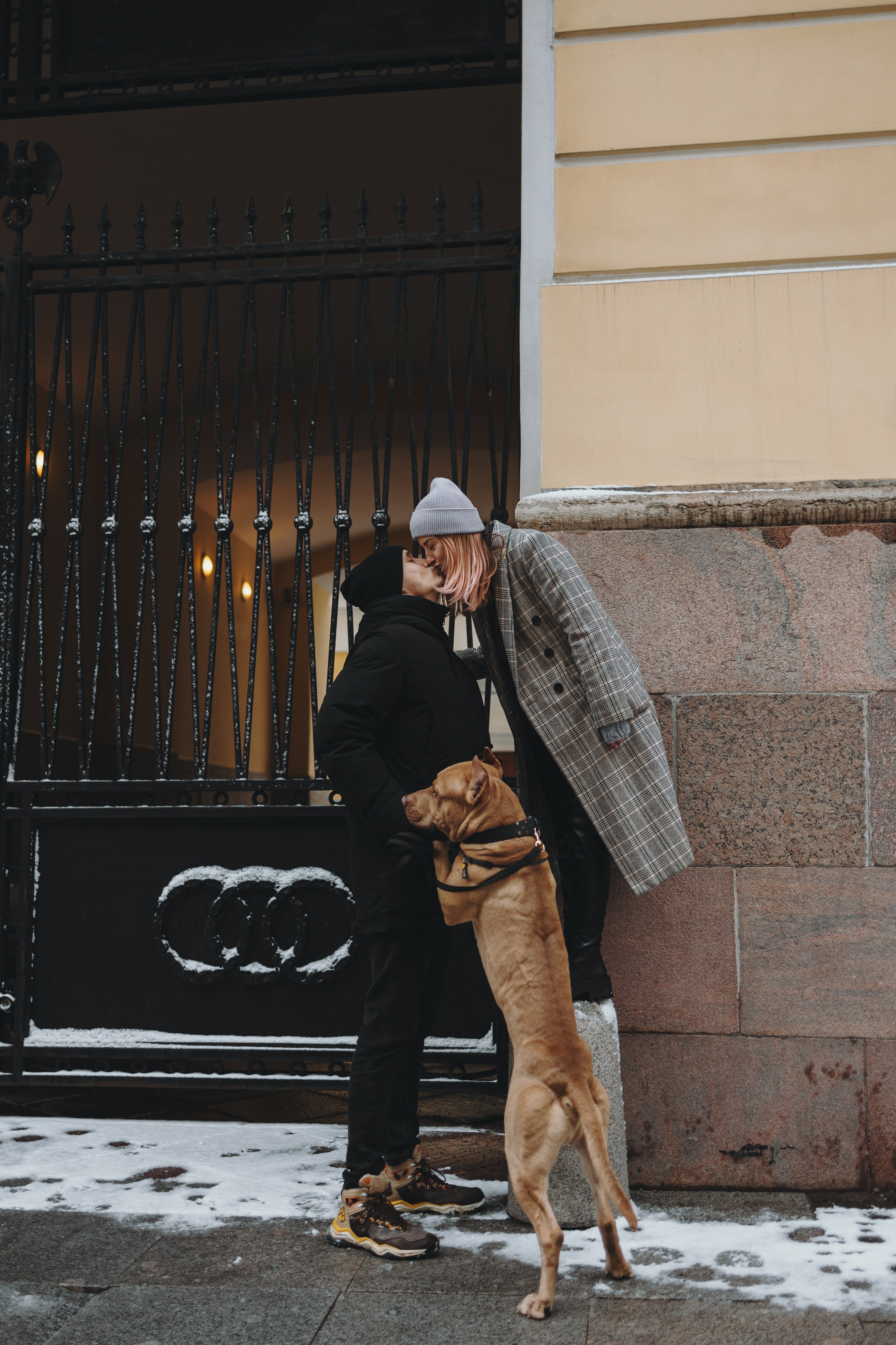 Саша, Света и Ицар. Фотограф-анималист в Санкт-Петербурге Алина Яхонт