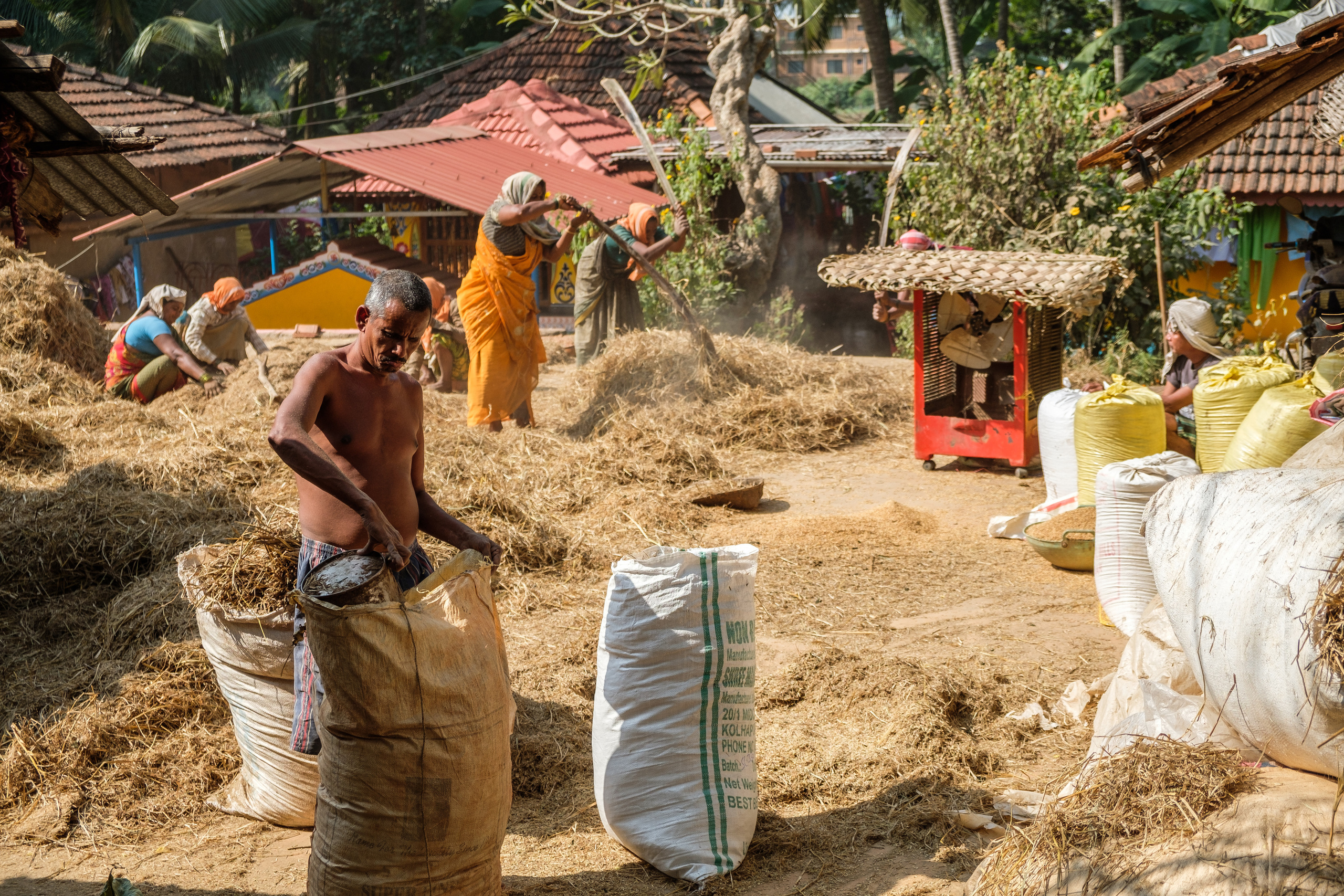 Непал и Индия. Портретный фотограф и коуч в Омске, Аркадий Нигматулин