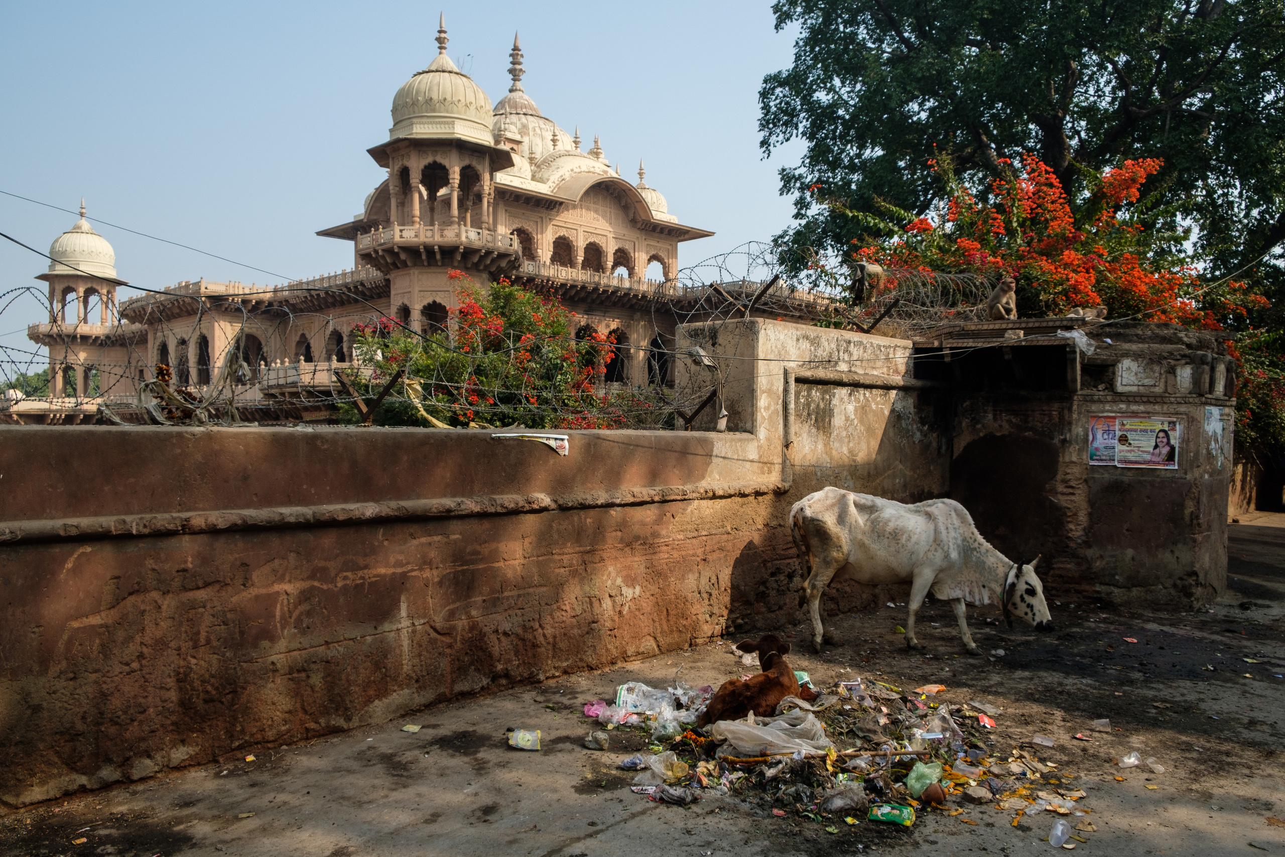 Непал и Индия. Портретный фотограф и коуч в Омске, Аркадий Нигматулин