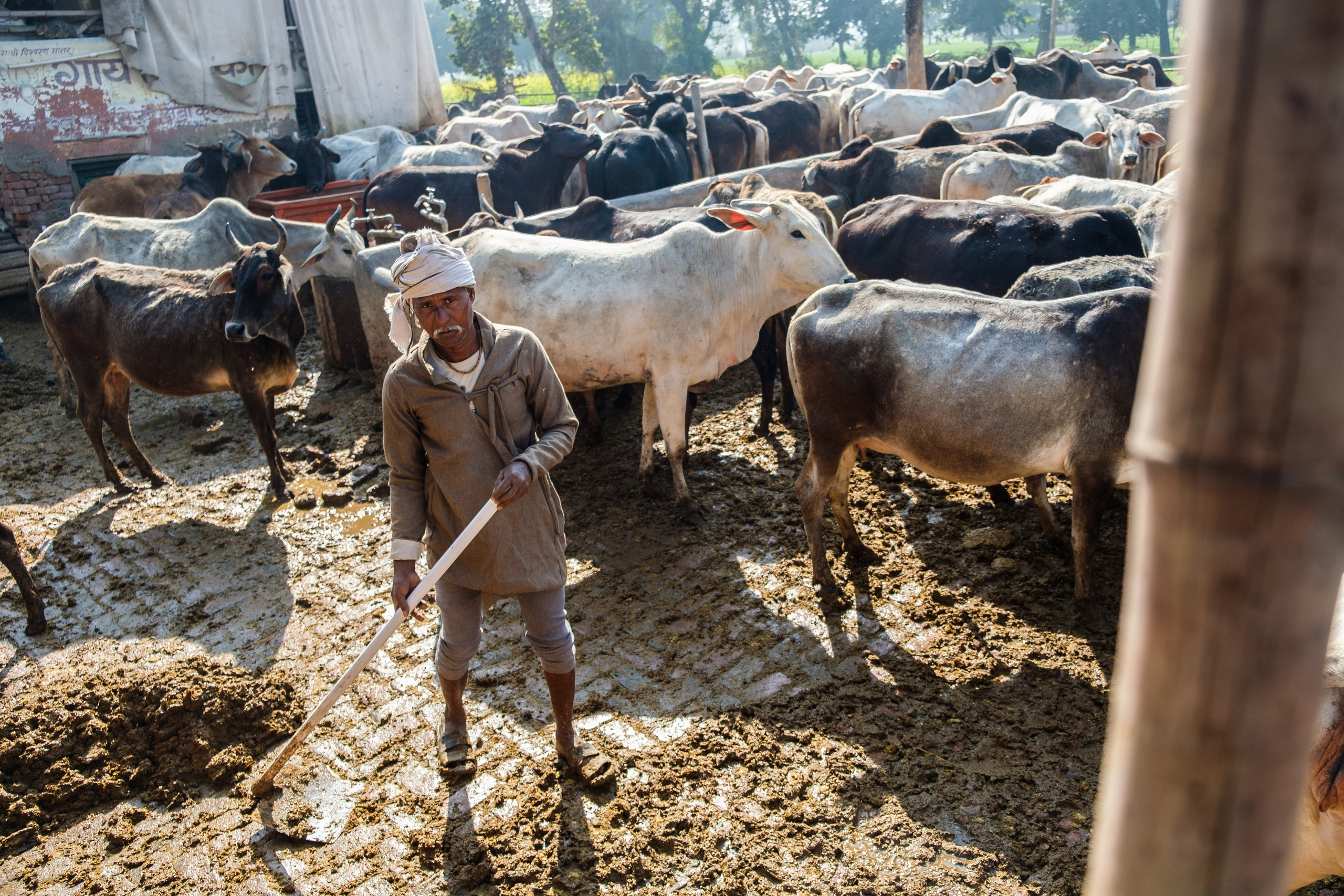 Непал и Индия. Портретный фотограф и коуч в Омске, Аркадий Нигматулин