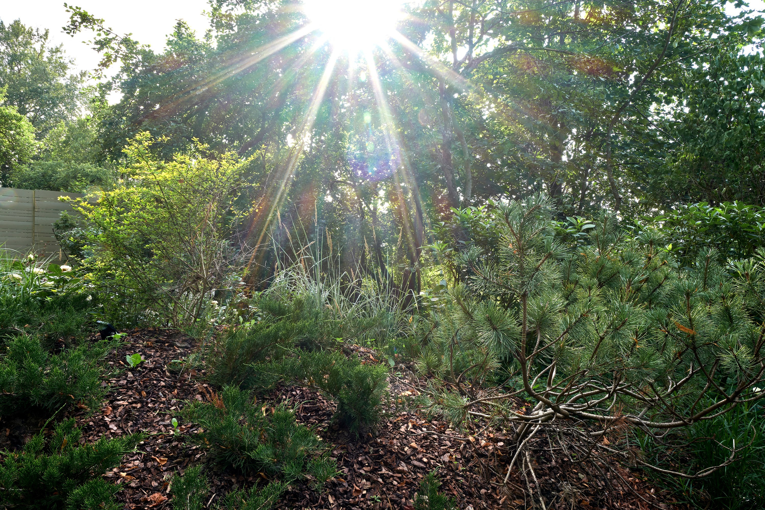 Сад для музея Штакеншнайдера. Фотосъемка частных садов и интерьеров | Санкт-Петербург | Москва