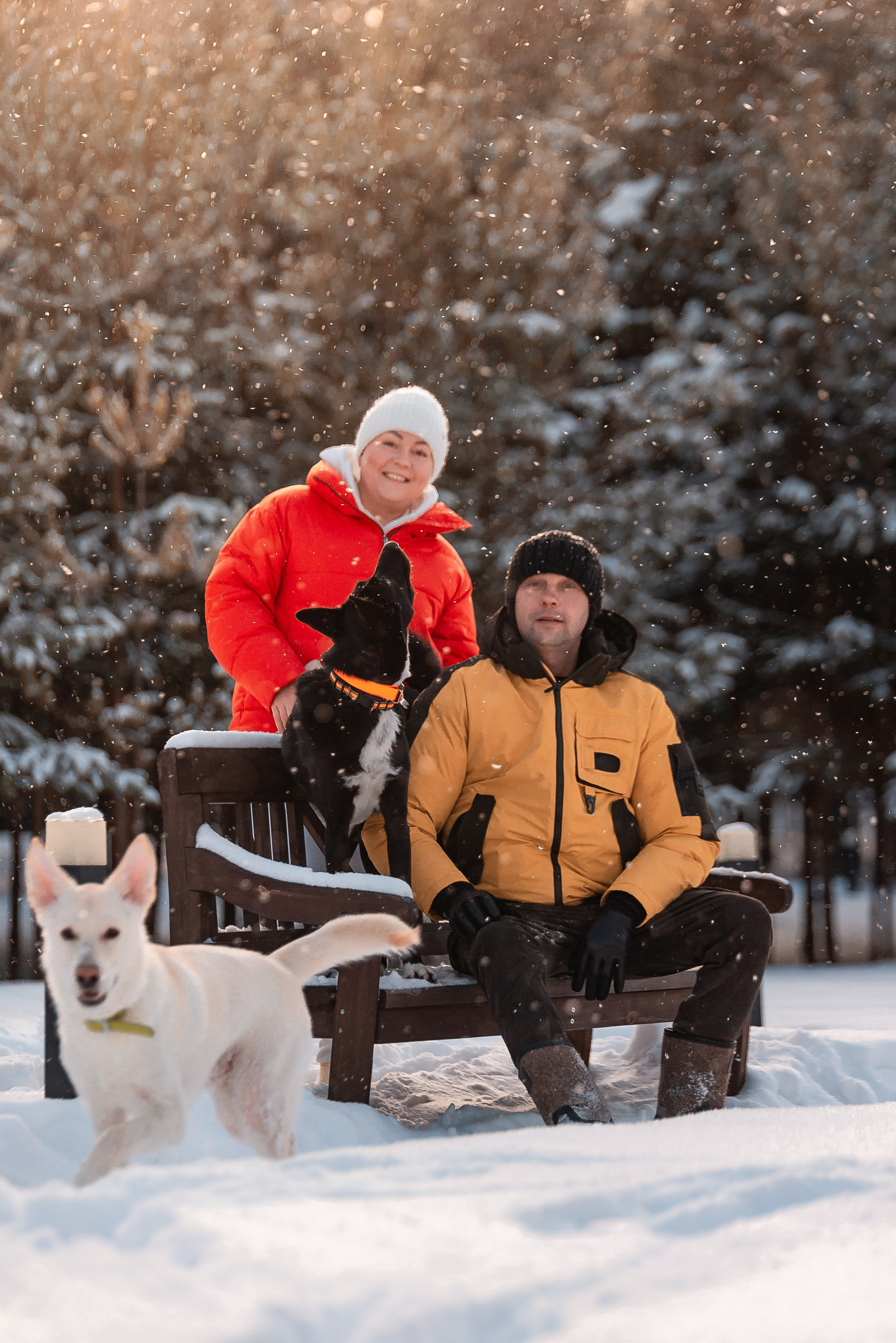 Татьяна, Михаил, Шелли и Лаки. Фотограф-анималист Анастасия Парфенова|Екатеринбург