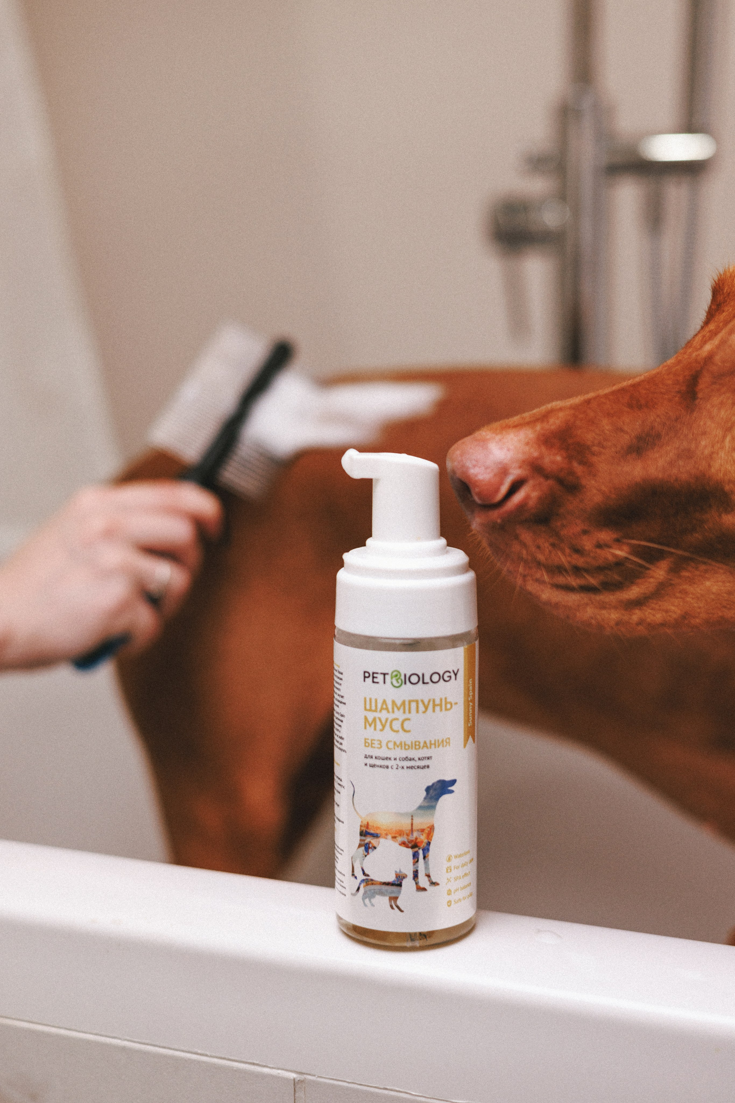 Товары для питомцев M-Pets & Petbiology. Фотограф анималист Осипчикова Мария