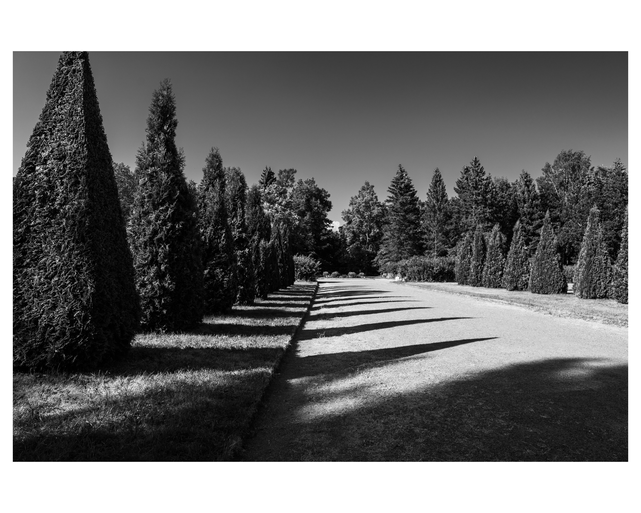 Особый взгляд на людей. Сергей Гаврилов, фотограф