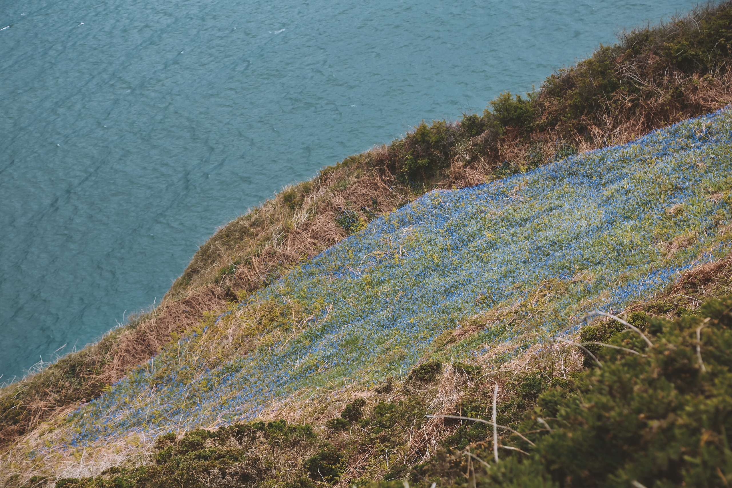 Ирландия: Хоут — тропинка на одного. Дарья Письменюк / Darya Leitstern — фотограф, музыкант, журналист, путешественник