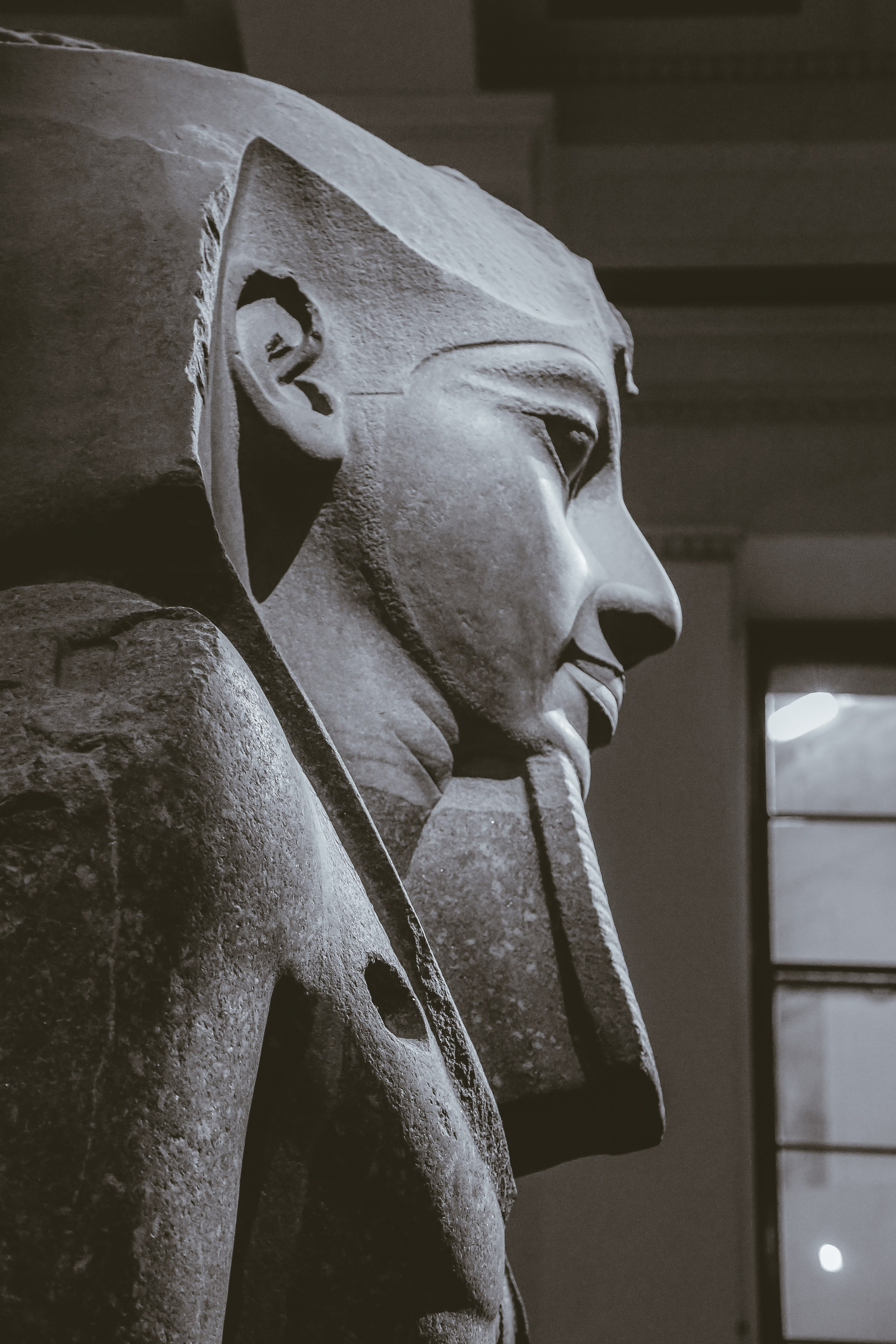 Англия: Лондон музейный. Дарья Письменюк / Darya Leitstern — фотограф, музыкант, журналист, путешественник