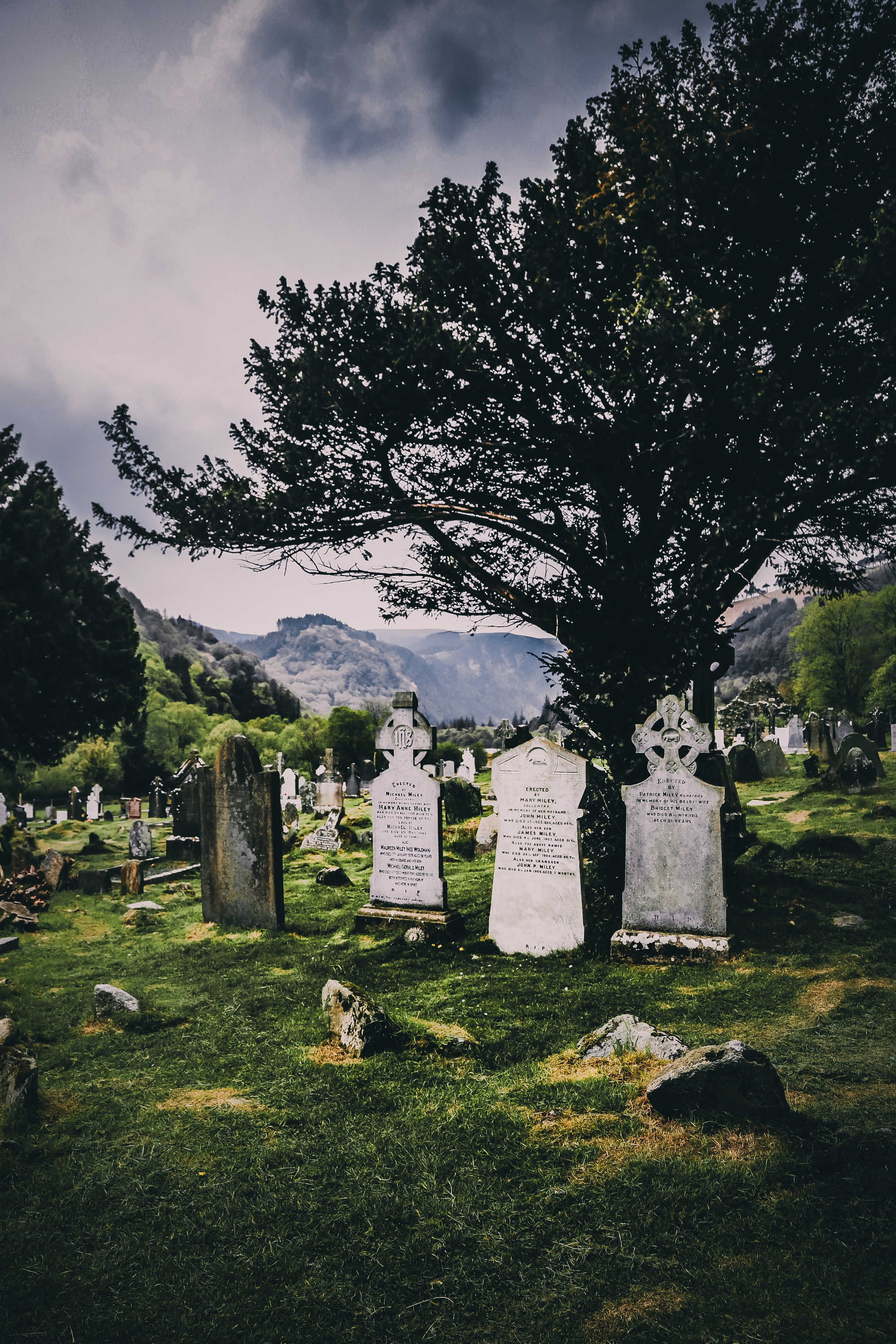 Ирландия: Горы Уиклоу. Дарья Письменюк / Darya Leitstern — фотограф, музыкант, журналист, путешественник