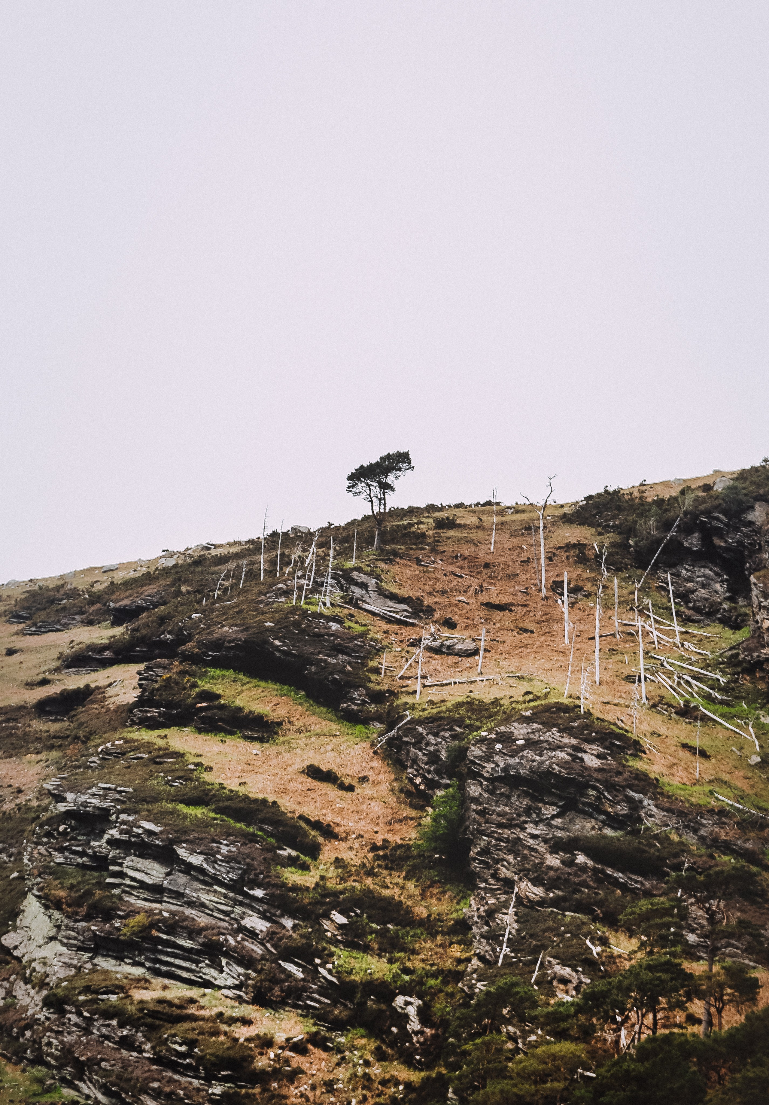 Ирландия: Горы Уиклоу. Дарья Письменюк / Darya Leitstern — фотограф, музыкант, журналист, путешественник