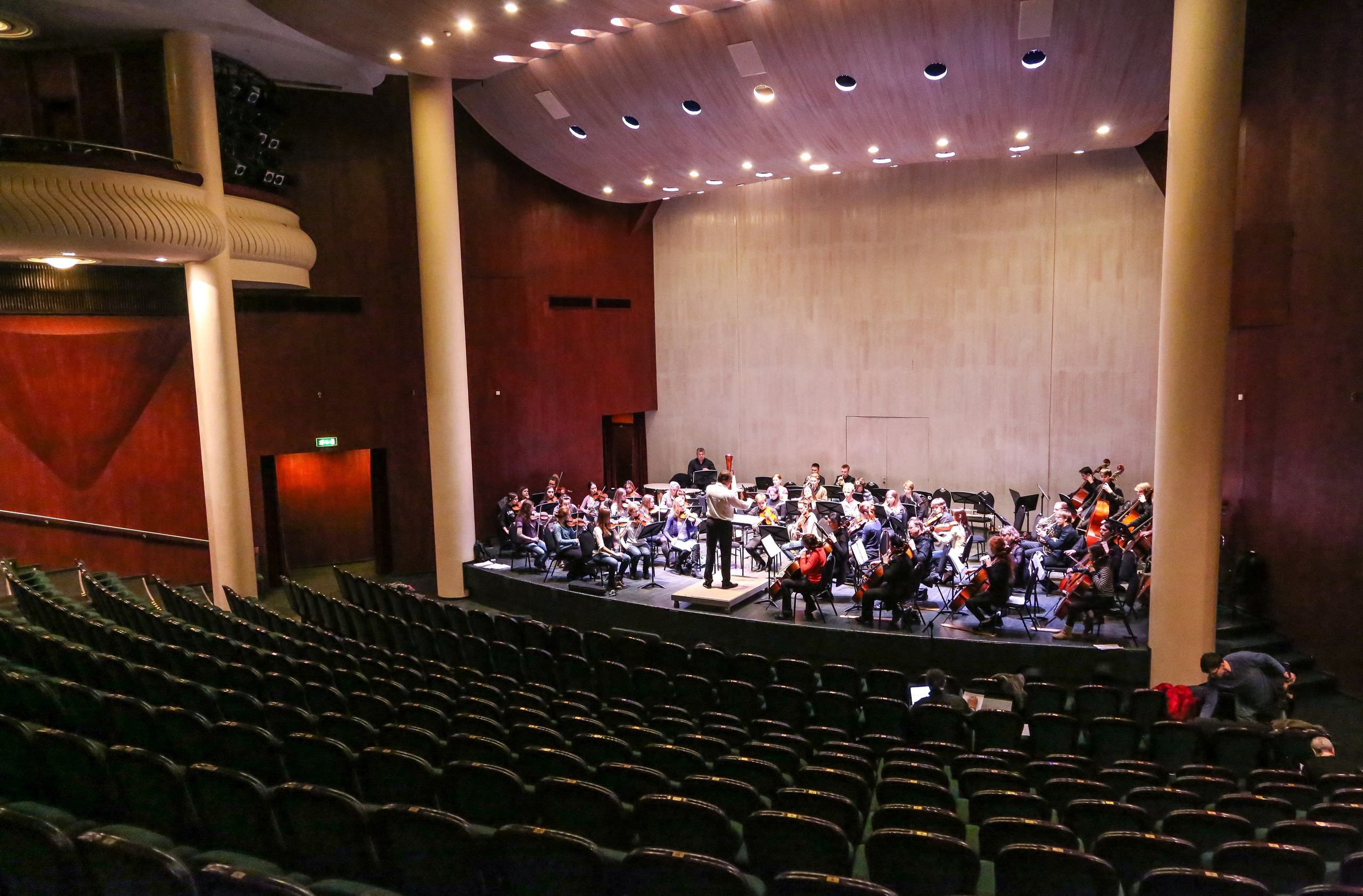 Концерт в Доме музыки к Международному дню борьбы с эпилепсией. Дарья Письменюк / Darya Leitstern — фотограф, музыкант, журналист, путешественник