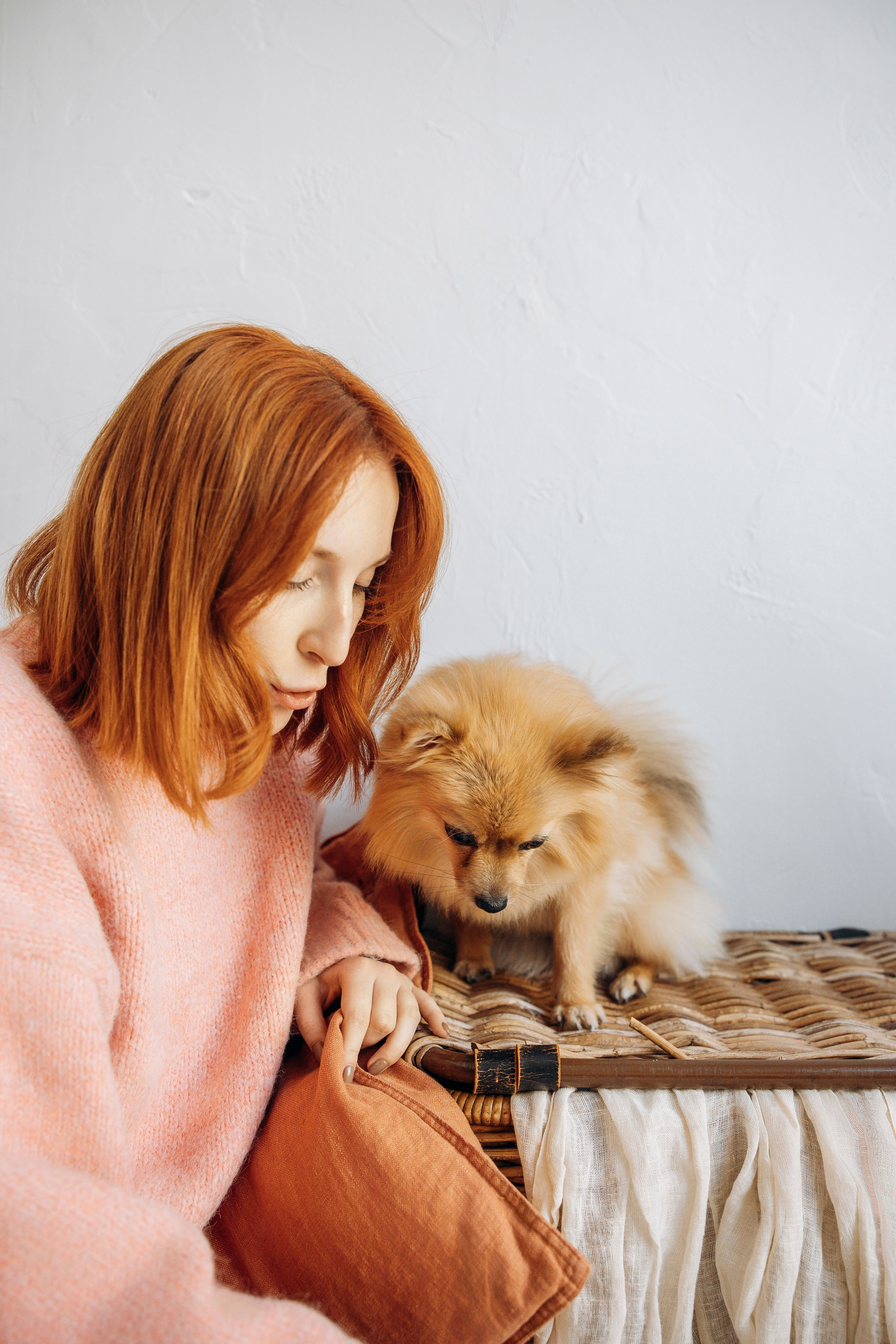 Съемка в студии с собакой. Анастасия Белаш