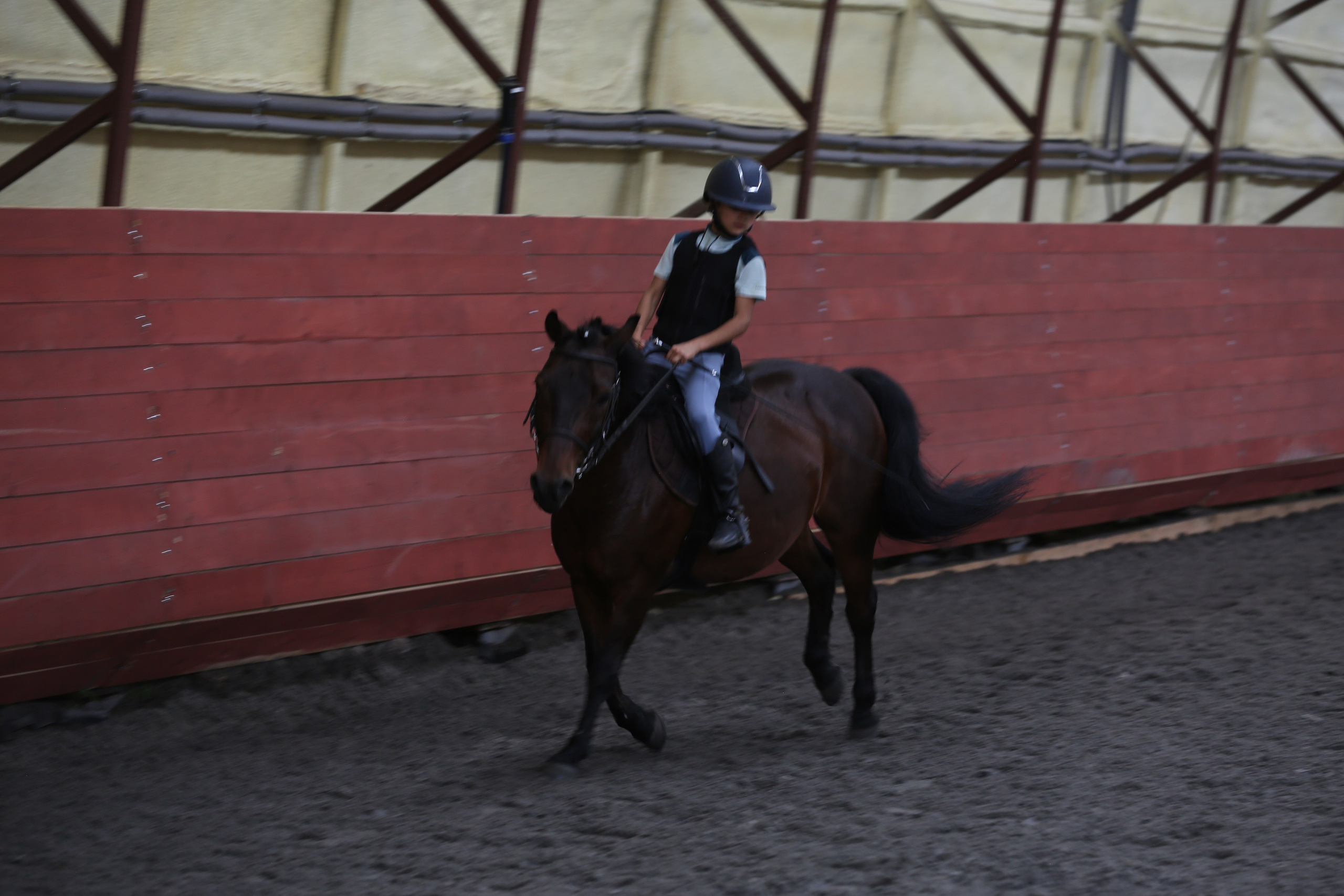 In a horse club NIMB. Фотограф Антонина Гудкова