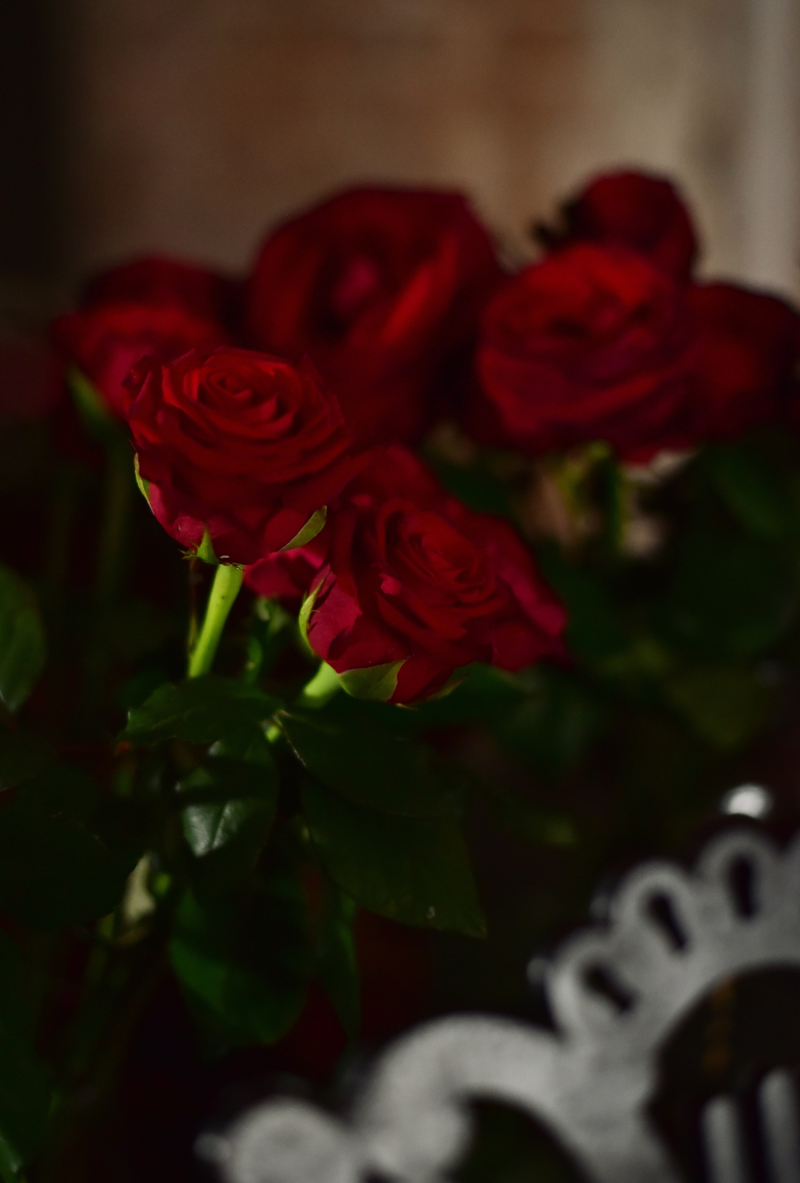 Анастасия. Фотограф Новочеркасск Ростов Карина Чернова