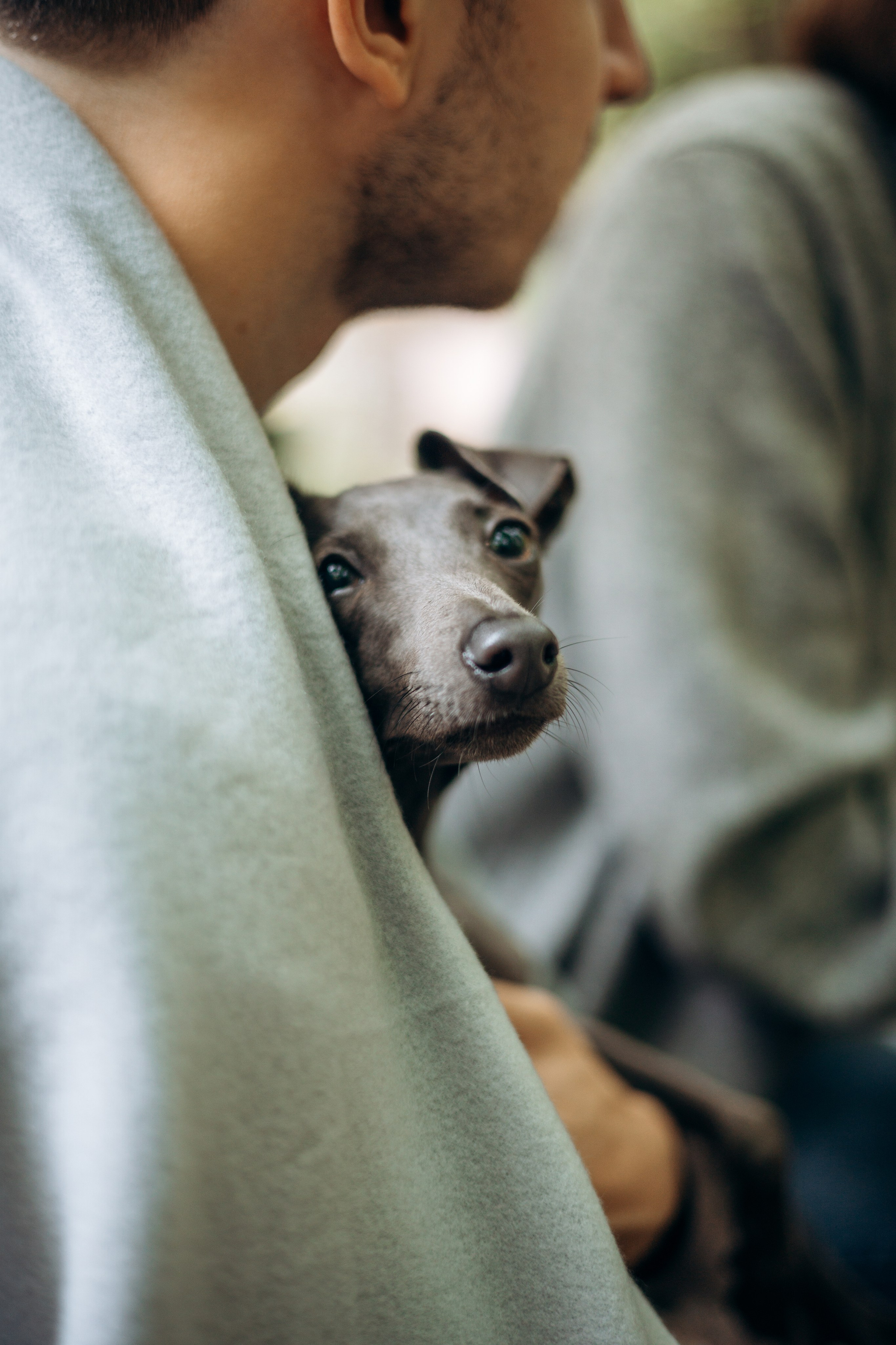 Лучик и ее семья. Фотограф — Анималист | Санкт-Петербург