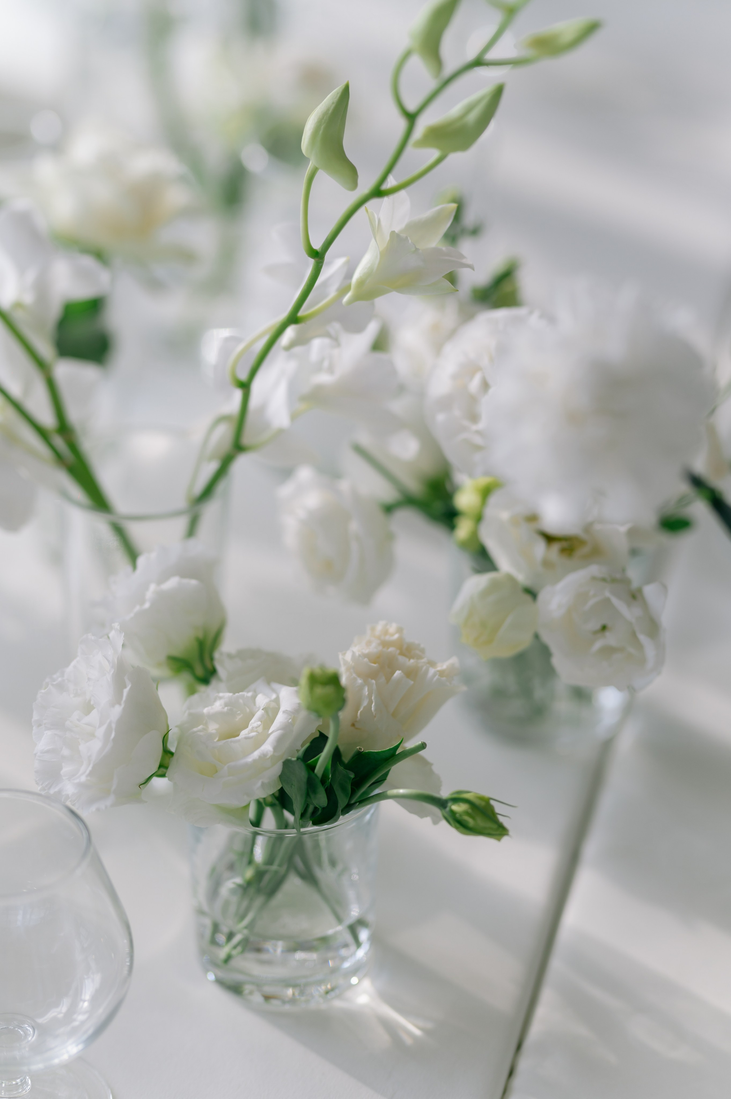 Влад и Диана. Свадебный фотограф Минск, Пинск, Брест, Гродно Чернигов Андрей