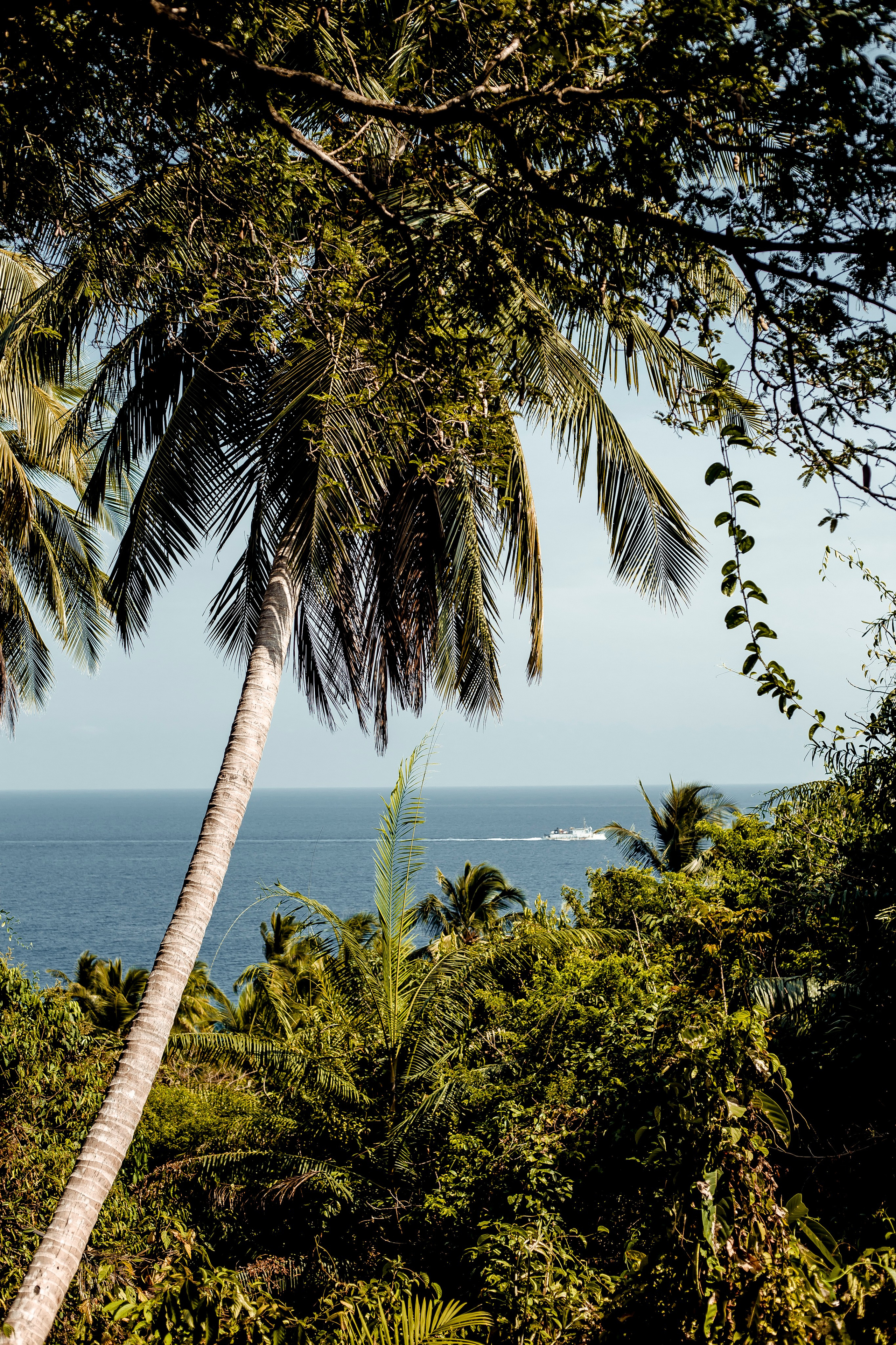 Andaman Island, part 1. Art Photographer