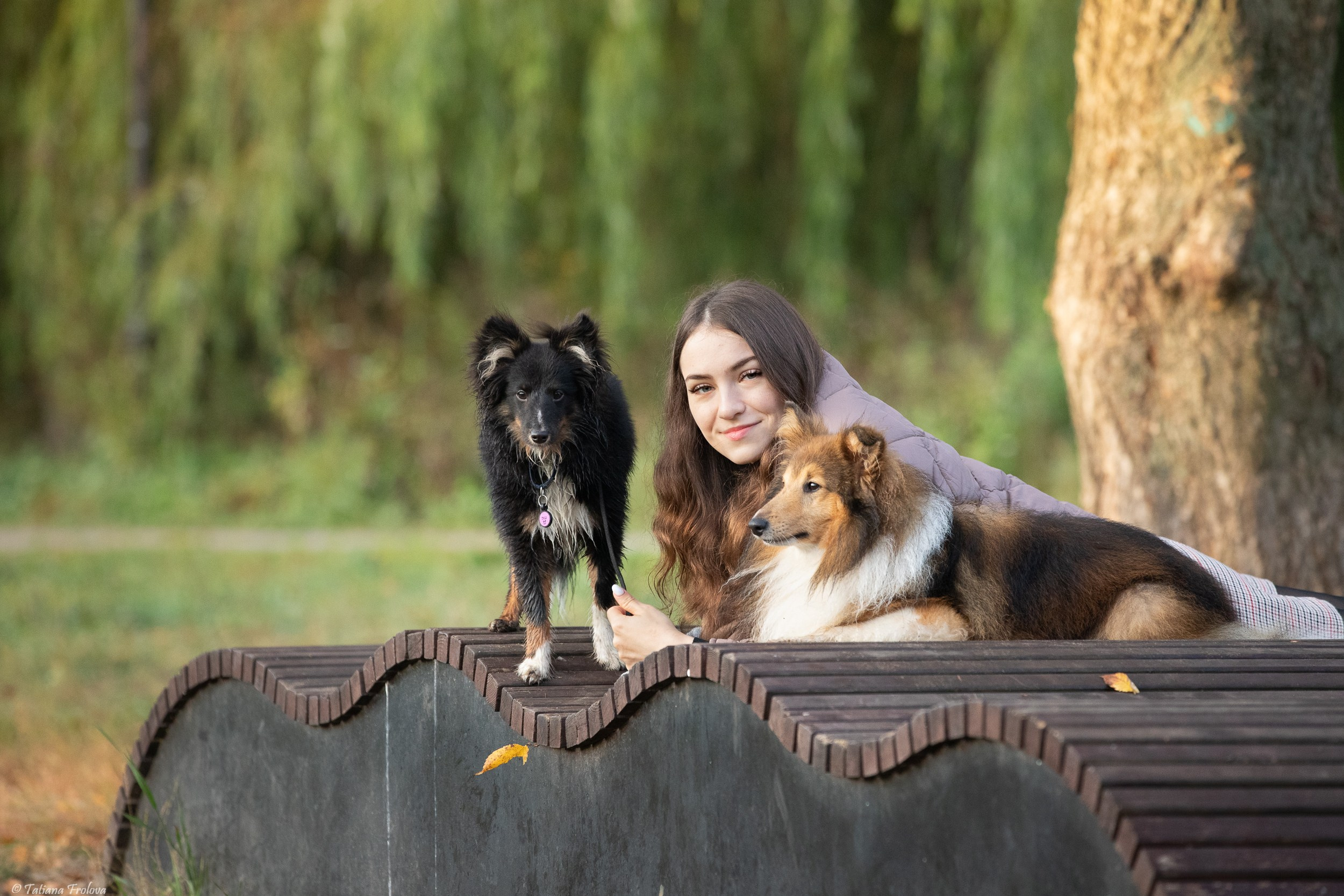 Утренняя фотопрогулка с двумя собаками по Москве. Фотограф-анималист в Москве и Московской области Татьяна Фролова