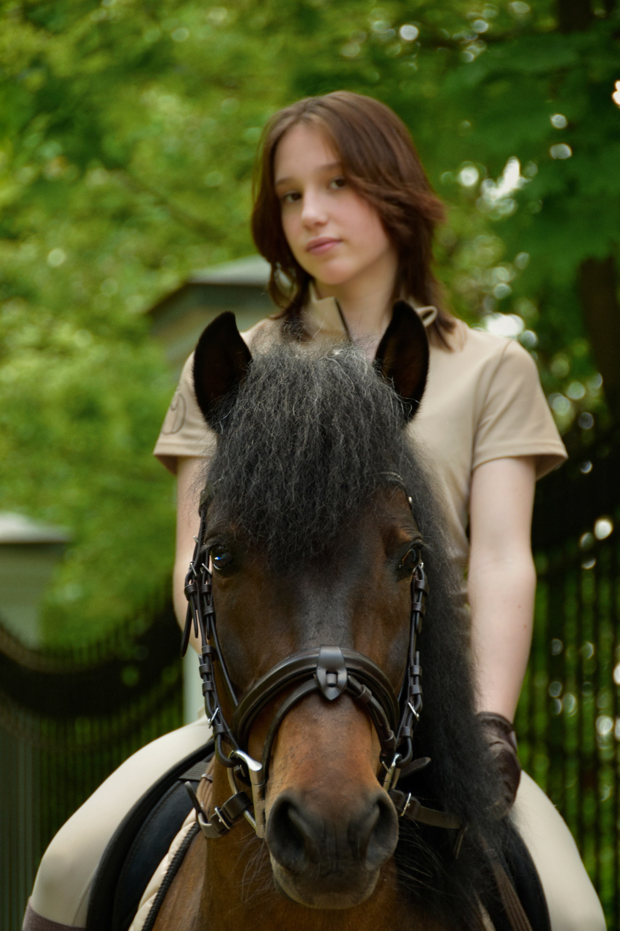 Александра и Капрал (клеппер). Конный фотограф Москва