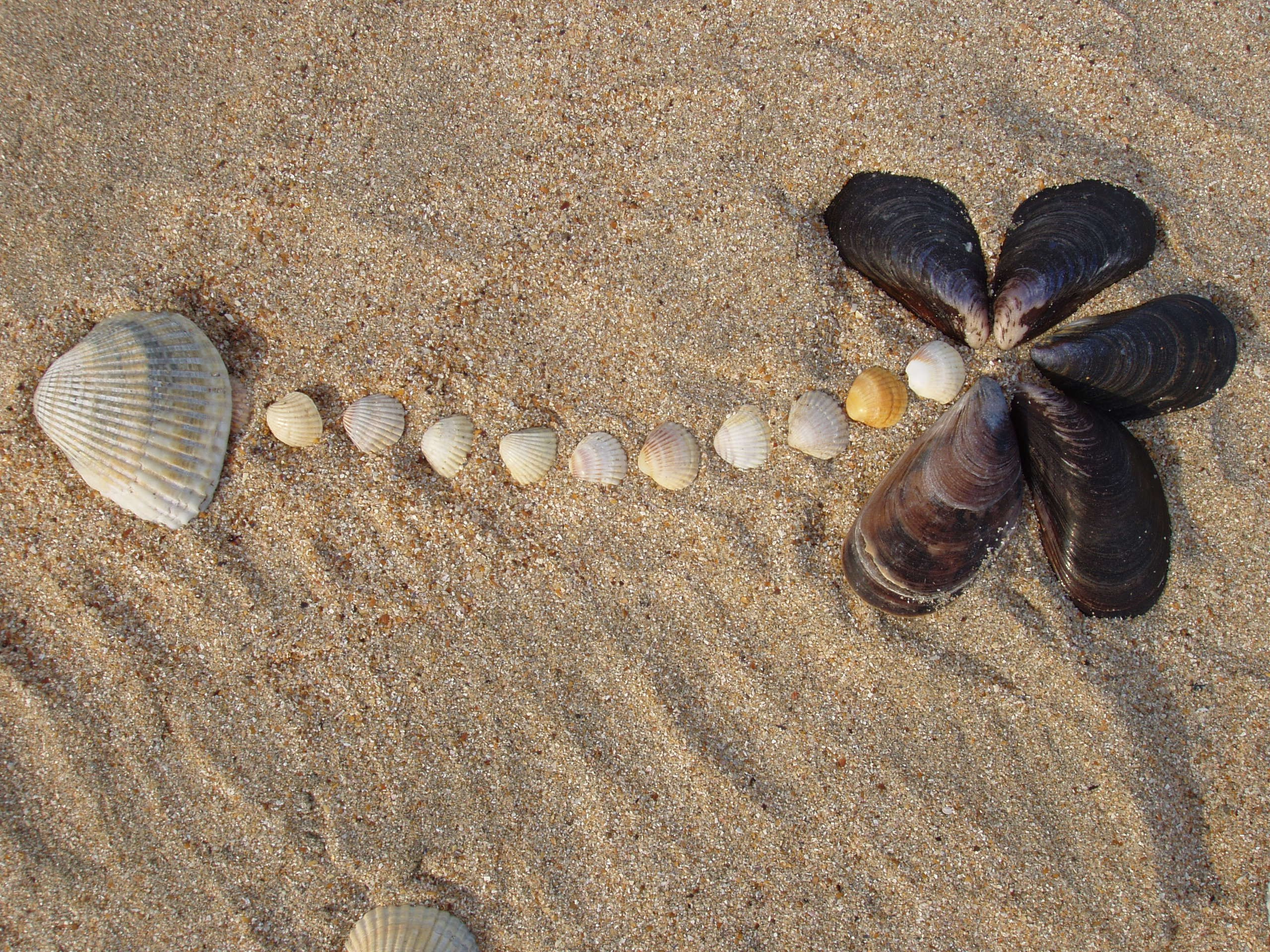 Отпуск 13.07-24.08. Семейный, Свадебный фотограф СПБ Питер— Романова Екатерина