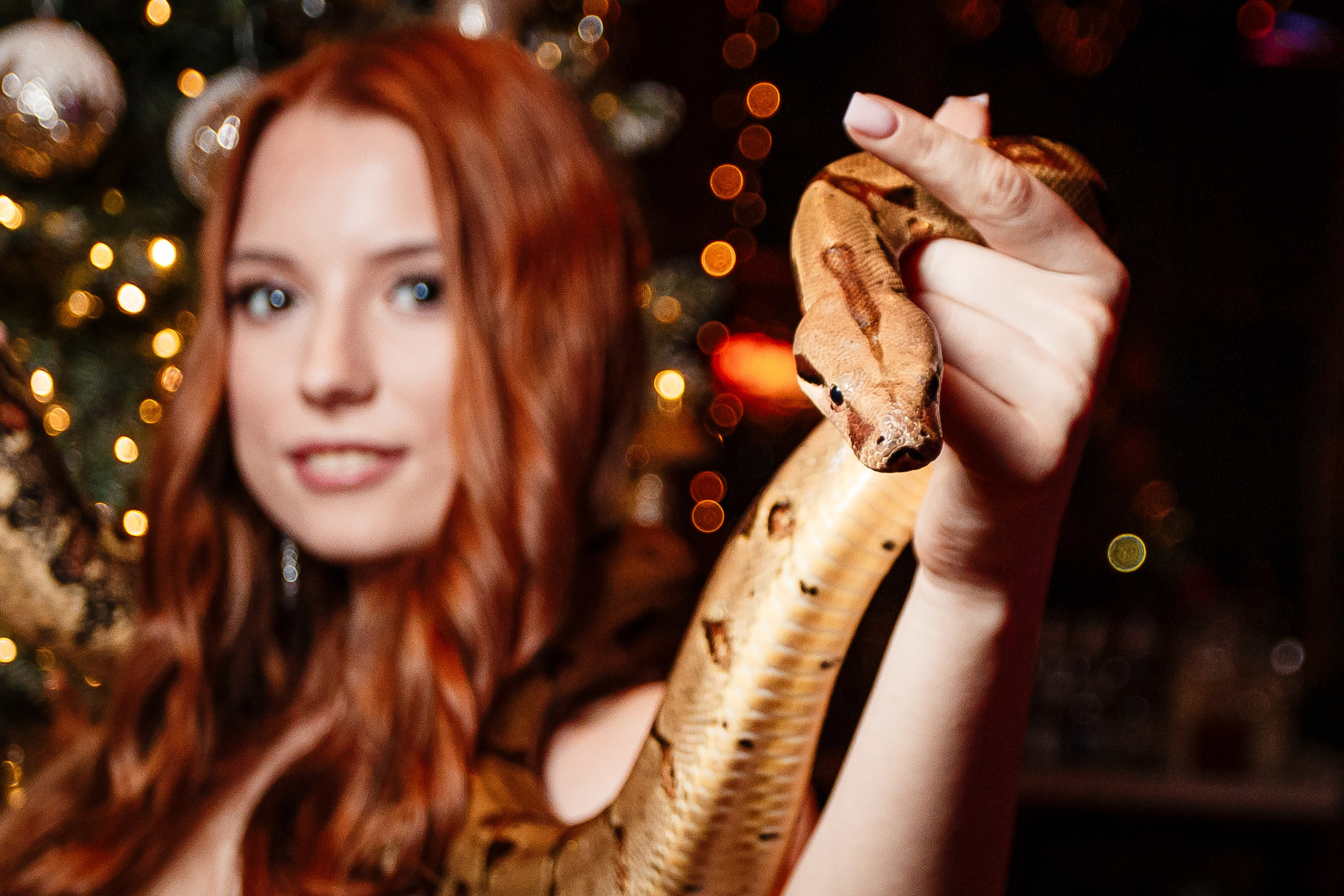 Новогодние корпоративы_Simfero_Симферополь_25.12.2024. Аминов Руслан | Фотограф