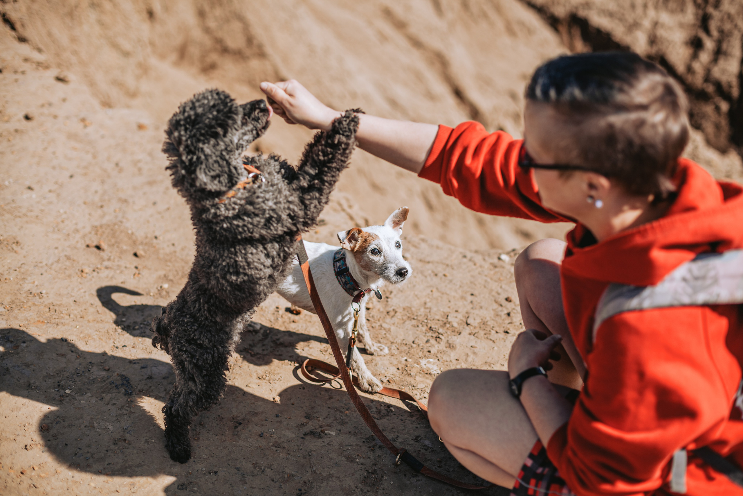 Кондуки. Фотограф-анималист Татьяна Степанова