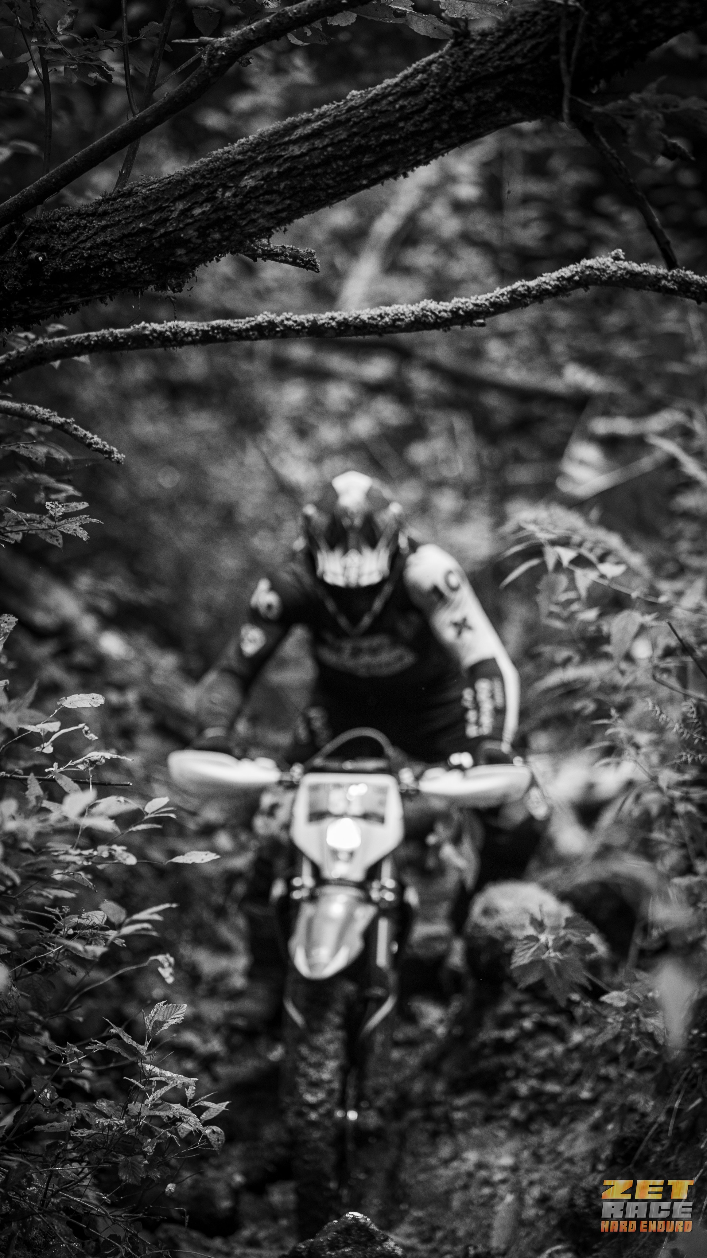 ZRace 2026. Фотограф мотоциклов в Москве — Олег Яковкин | Фото и видео