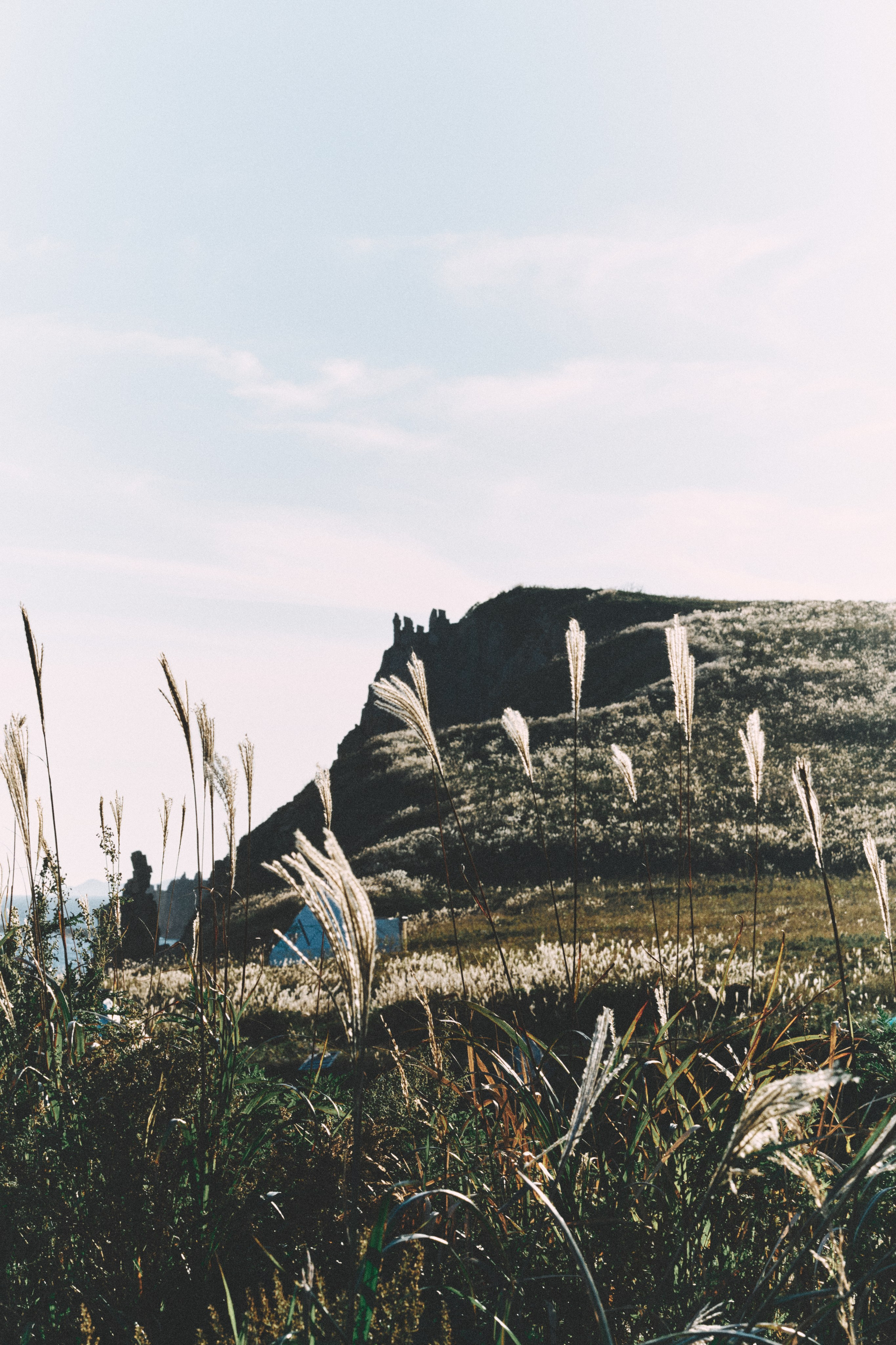 Репортаж трекинга тур группы 2. Фэшн-фотография и портреты в Владивостоке. Превращаю съёмку в повествование — создаю образы с сюжетом, которые остаются в памяти