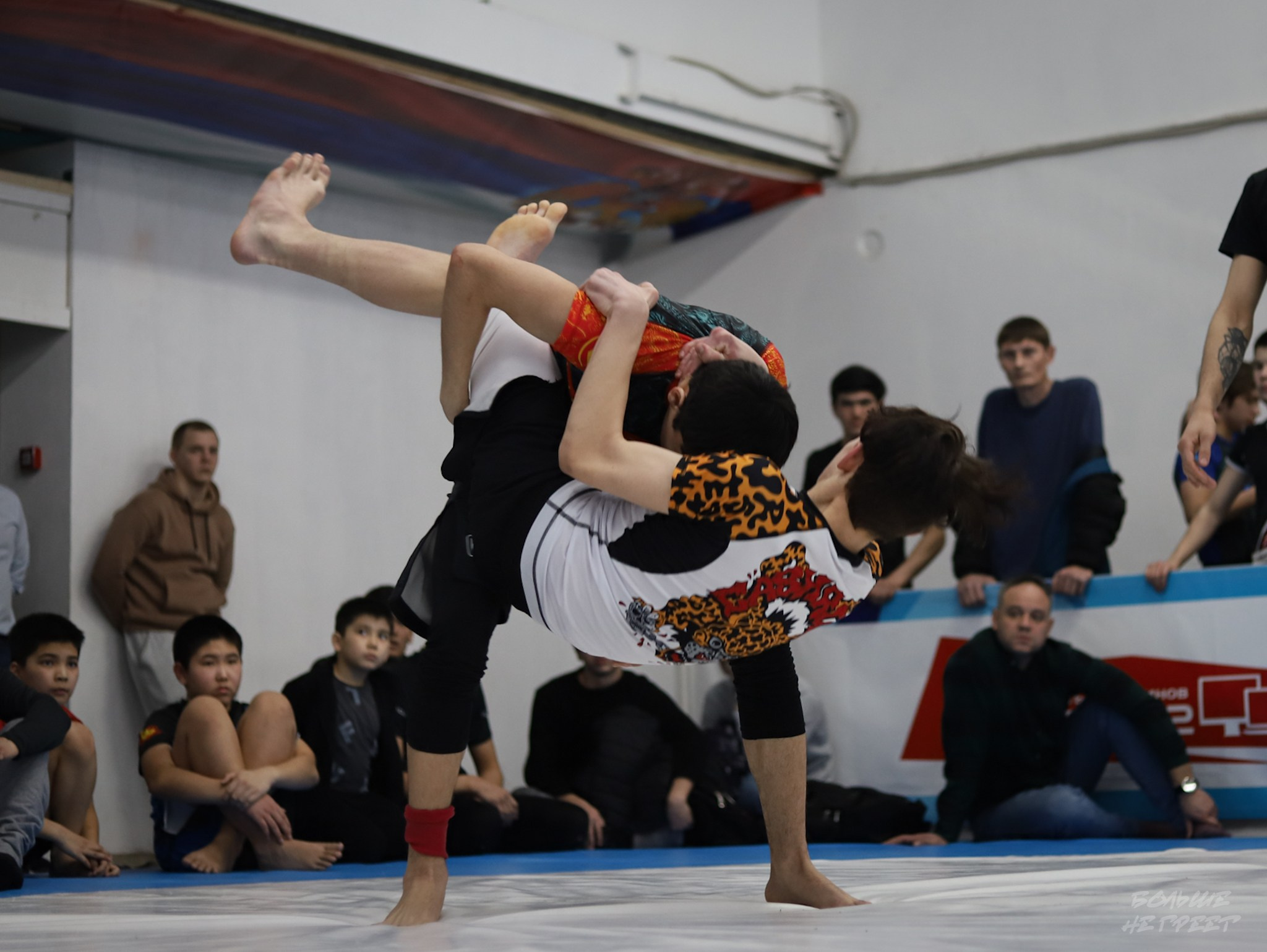 GORILLA PRIDE CUP. Больше не греет