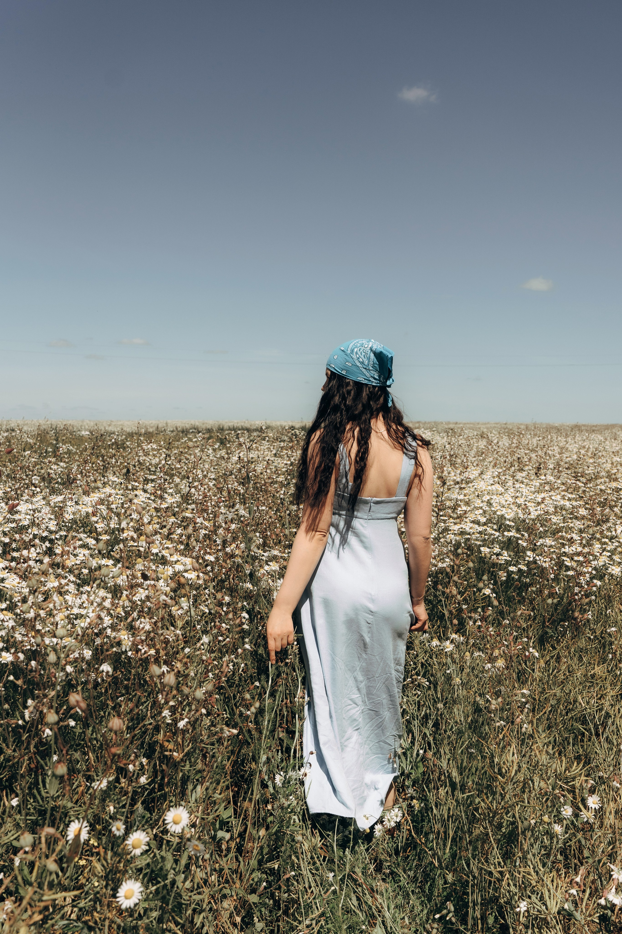 Ромашки. Ваш семейный фотограф в Минске — Вика Трегубова