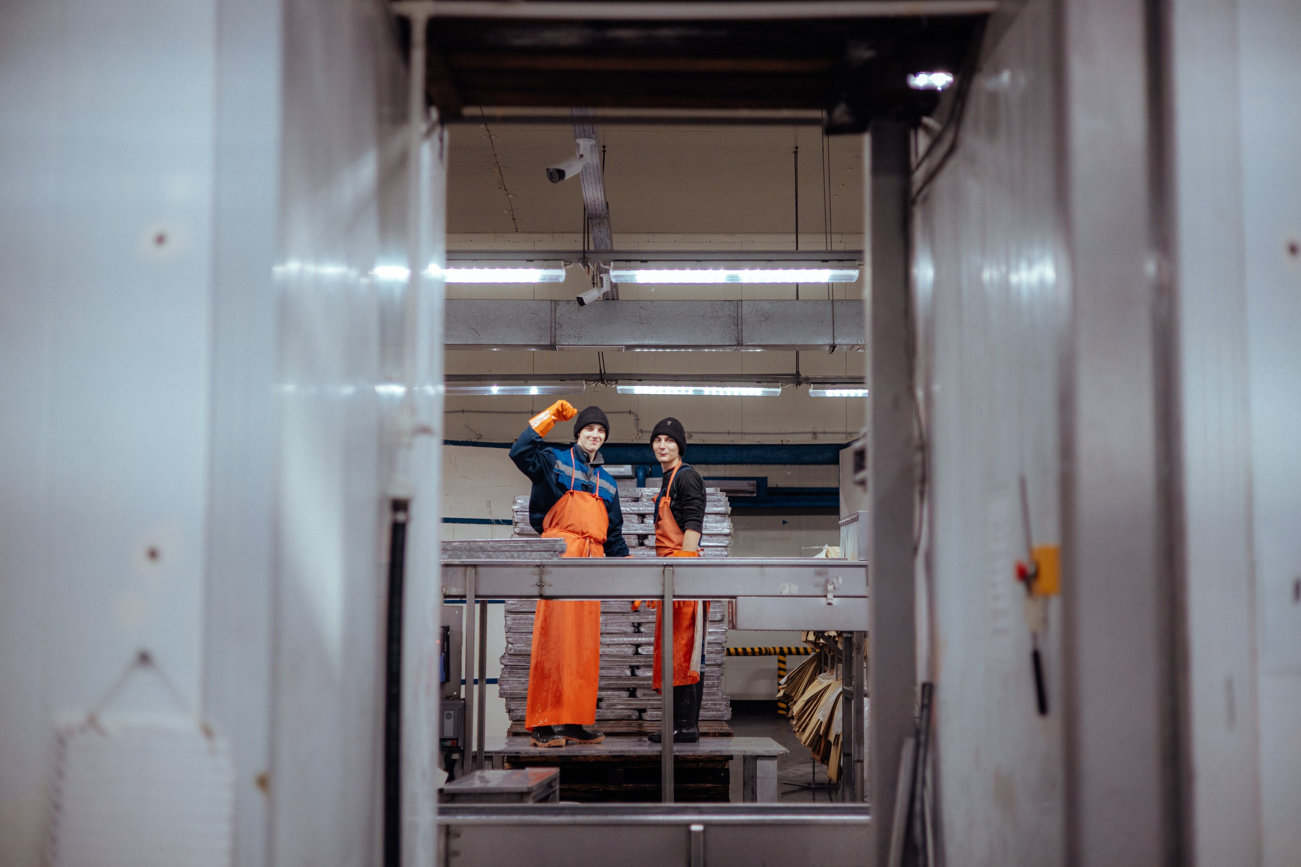 Ооо «лойд-фиш» | камчатка-2025