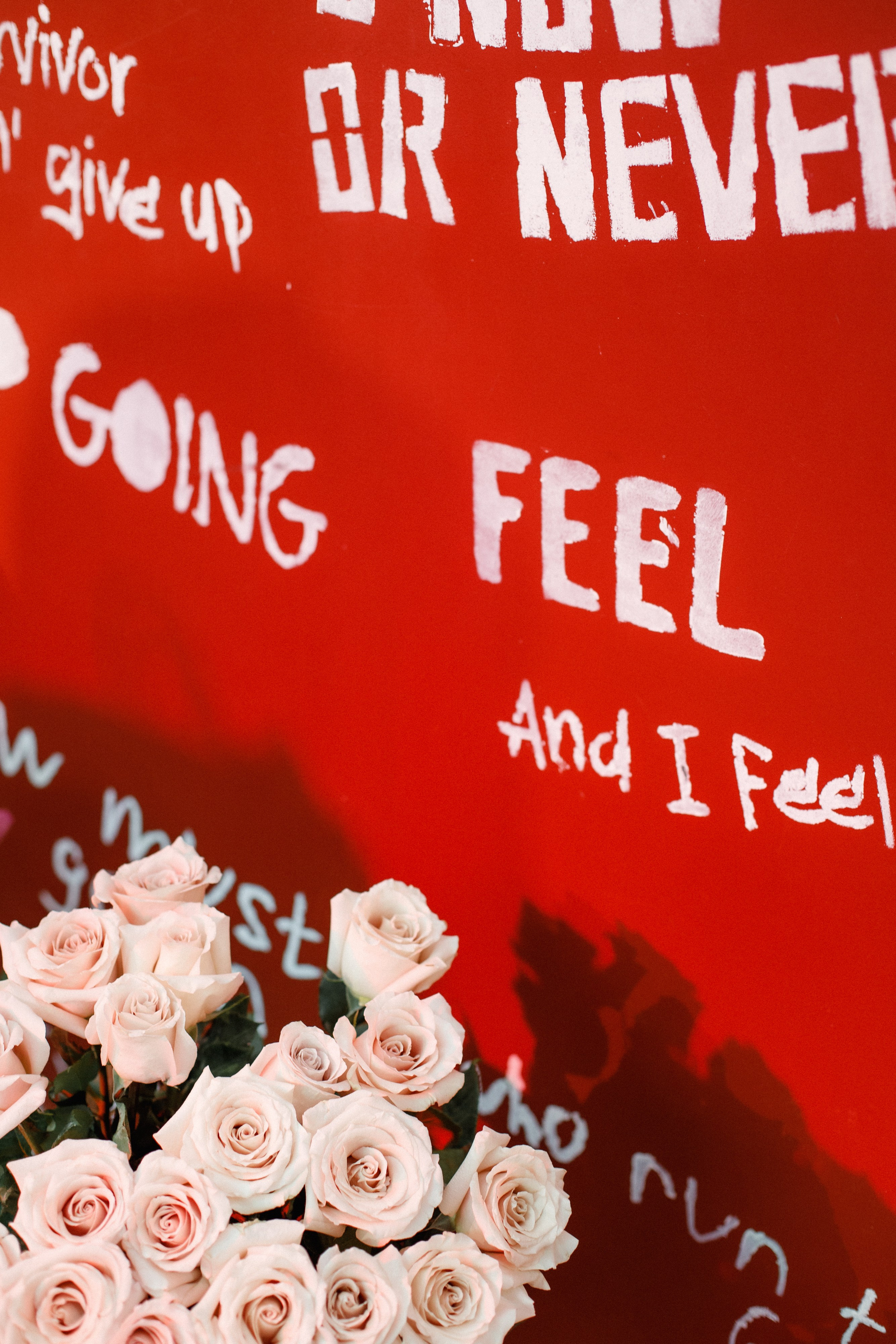 QUEEN KHV [12 ЛЕТ]. СВОИ. ФОТООТЧЕТЫ-СОБЫТИЯ-МЕСТА