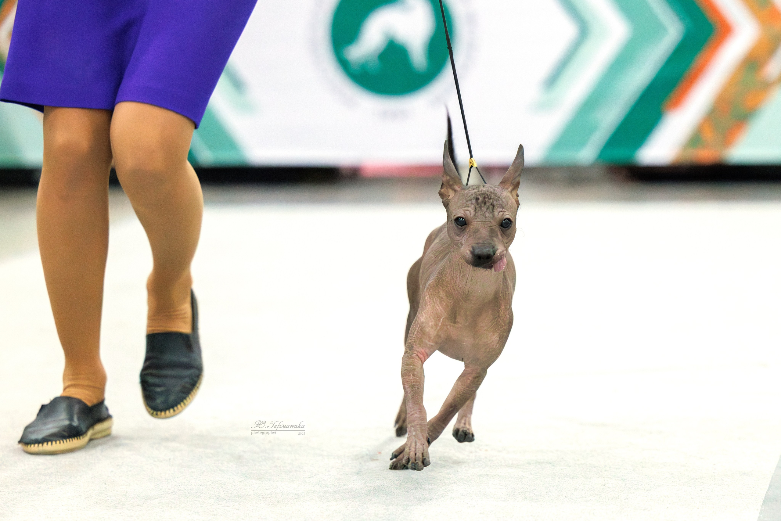 Евразия 15-16.11.2025. Фотограф-анималист Юлия Германика