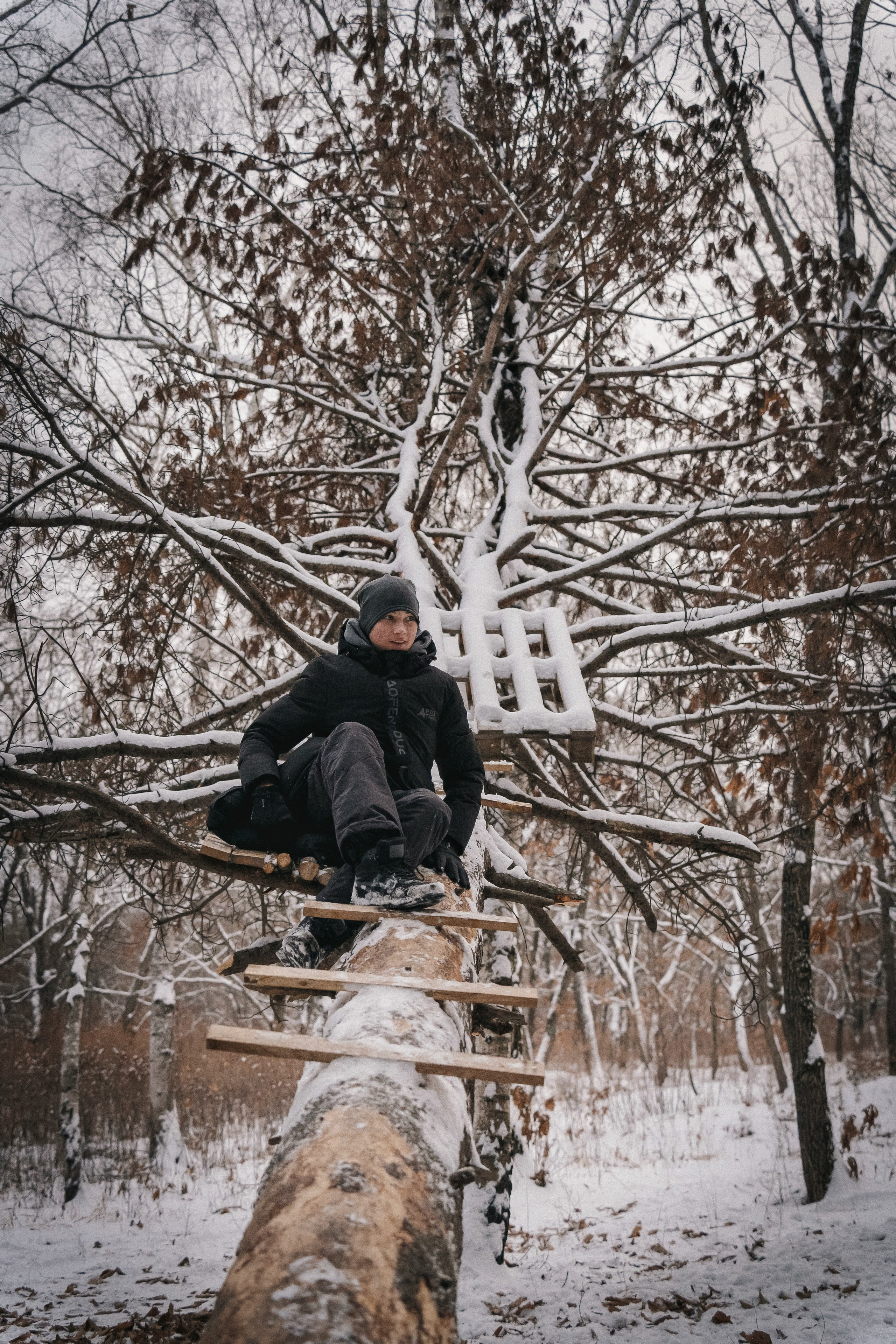 Зимняя история. Семейный фотограф анималист г. Находка