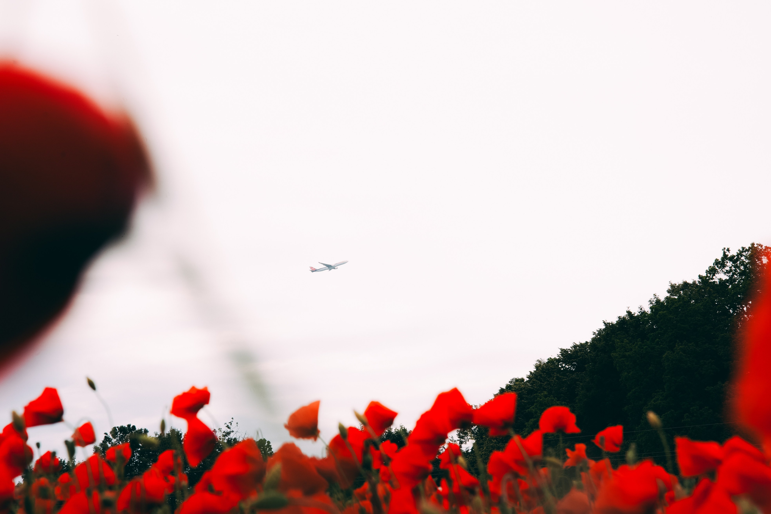 Калининград 2. Фотограф из Москвы — DASHA NOVA | Авторская фотография в разных жанрах