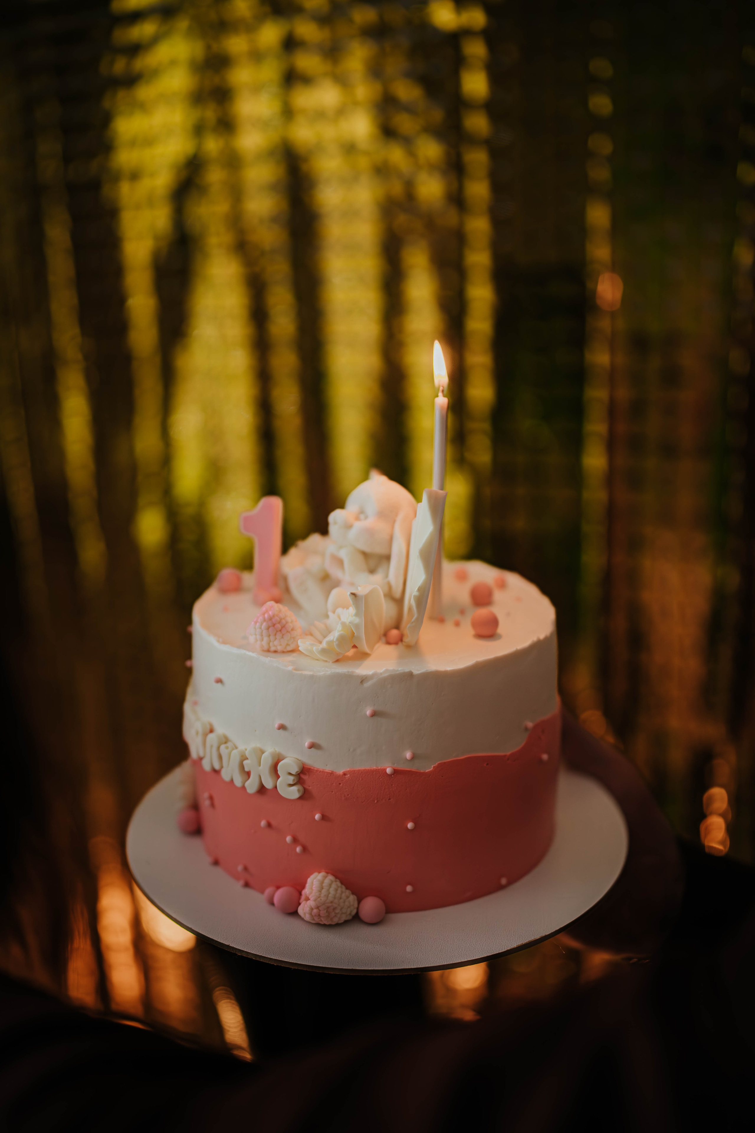 Виталине 1 годик!. Фотограф Дарья Маташкова