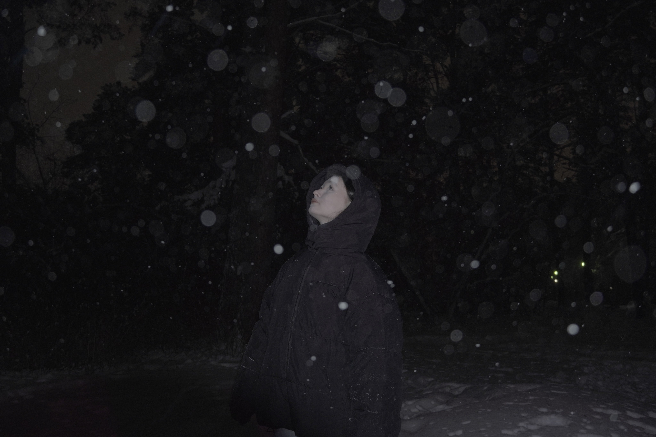 ЗАСНЕЖЕННЫЙ ЛЕС. Художественный фотограф в Тюмени Валерия Шульман