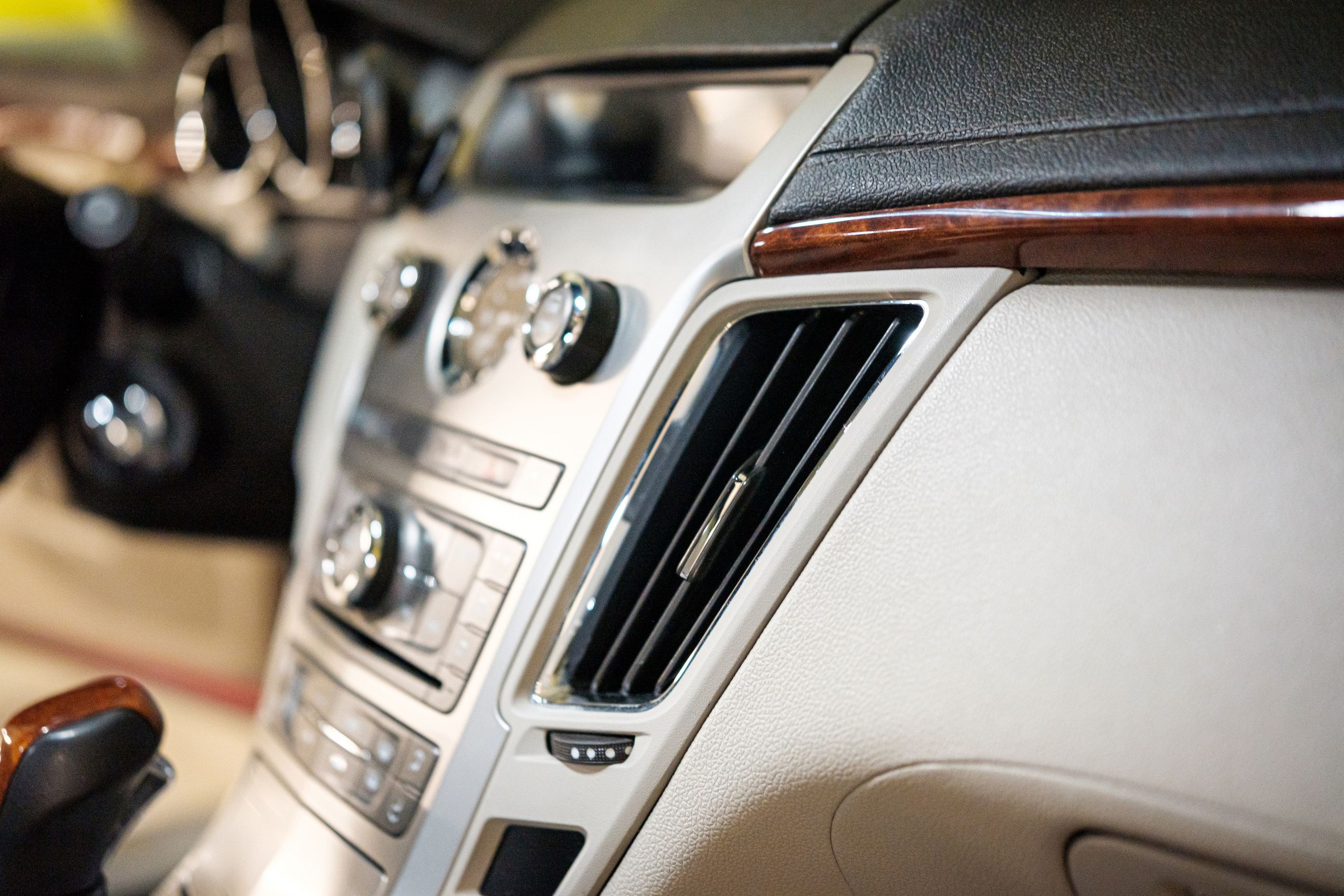 Кэдди. Алексей Никифоров фотограф Москва, Химки