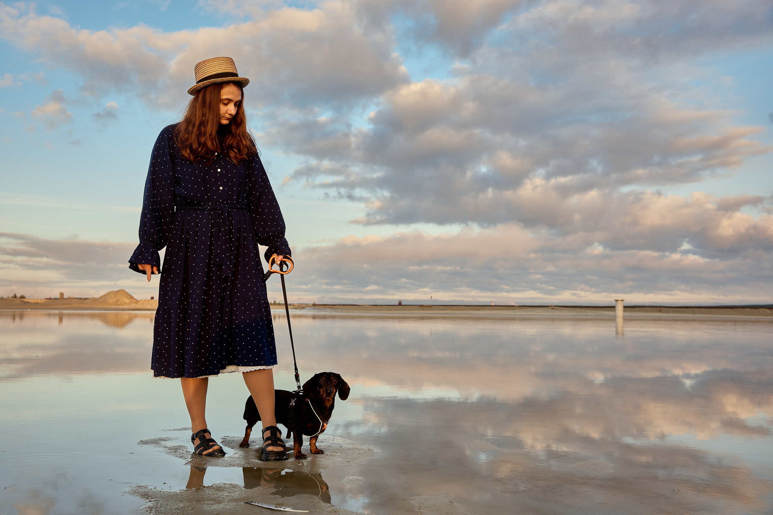 Фотосъёмка животных. Предметный и репортажный фотограф Алексей Кротов