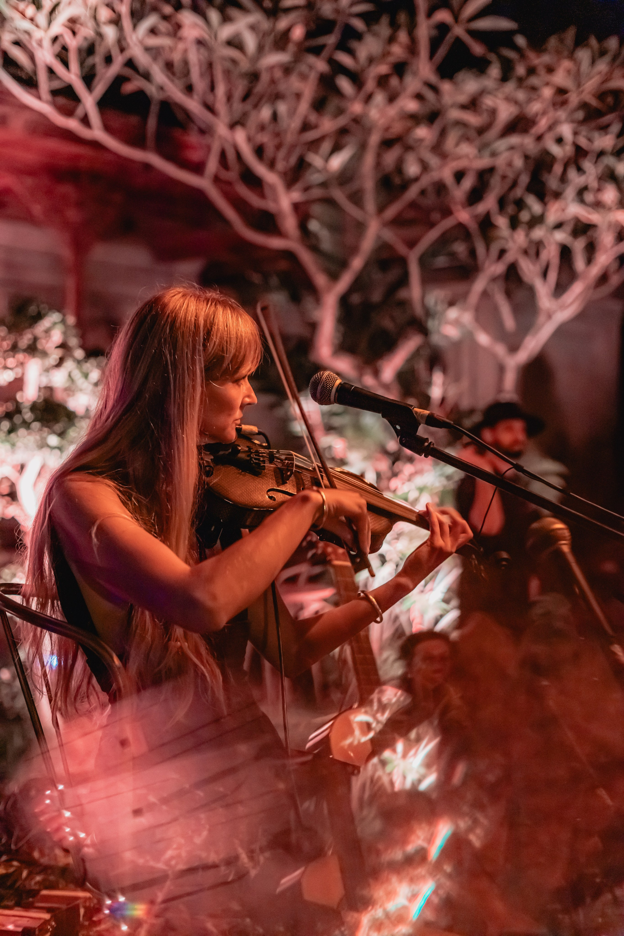 Alegria festival at Zest. Мариам Багдасарян