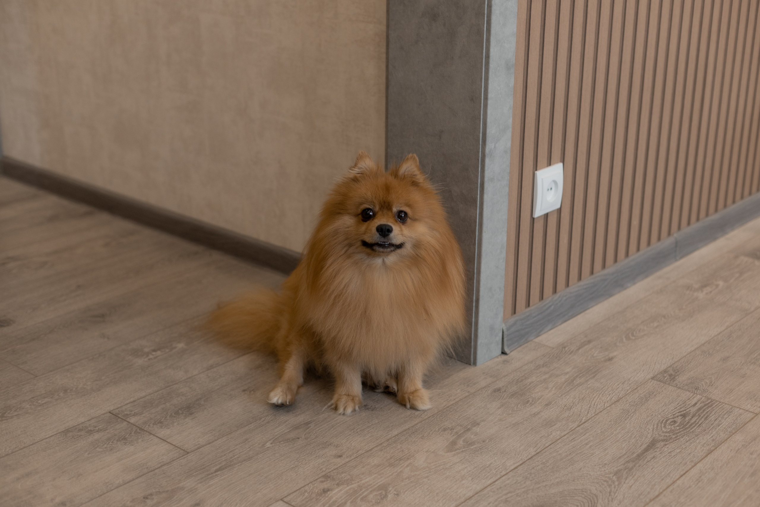 Алексей и Светлана (сокращено). Свадебный фотограф Ангелина Сунгатулина | Саратов | Балаково | Вольск