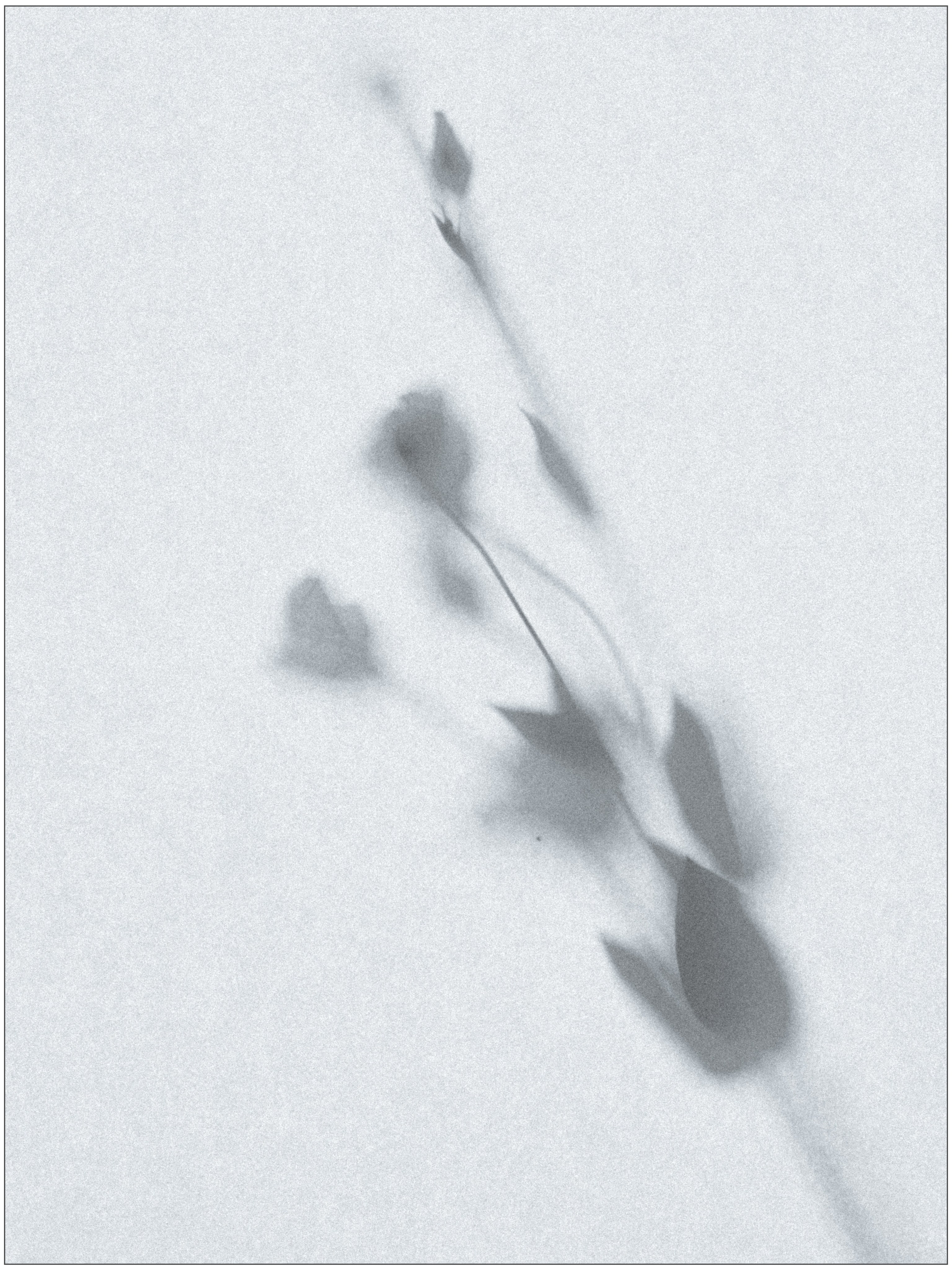 Invisible. Фотограф Ярославль Евгений Хайлов | Арт-фотосессии и креативная съёмка в Ярославле