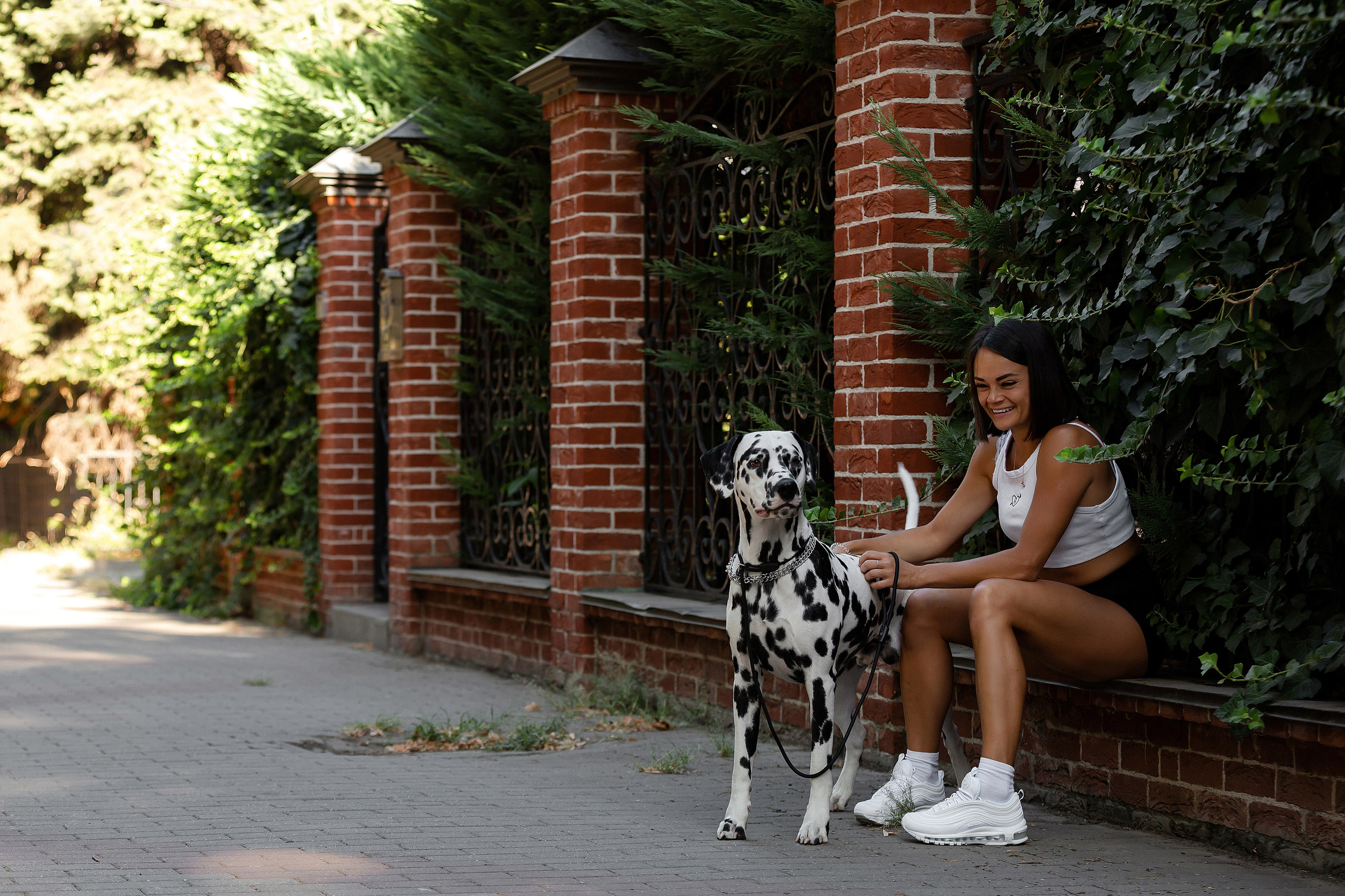 Далматин в Краснодаре. Фотограф-анималист в Краснодаре Маша Мельникова