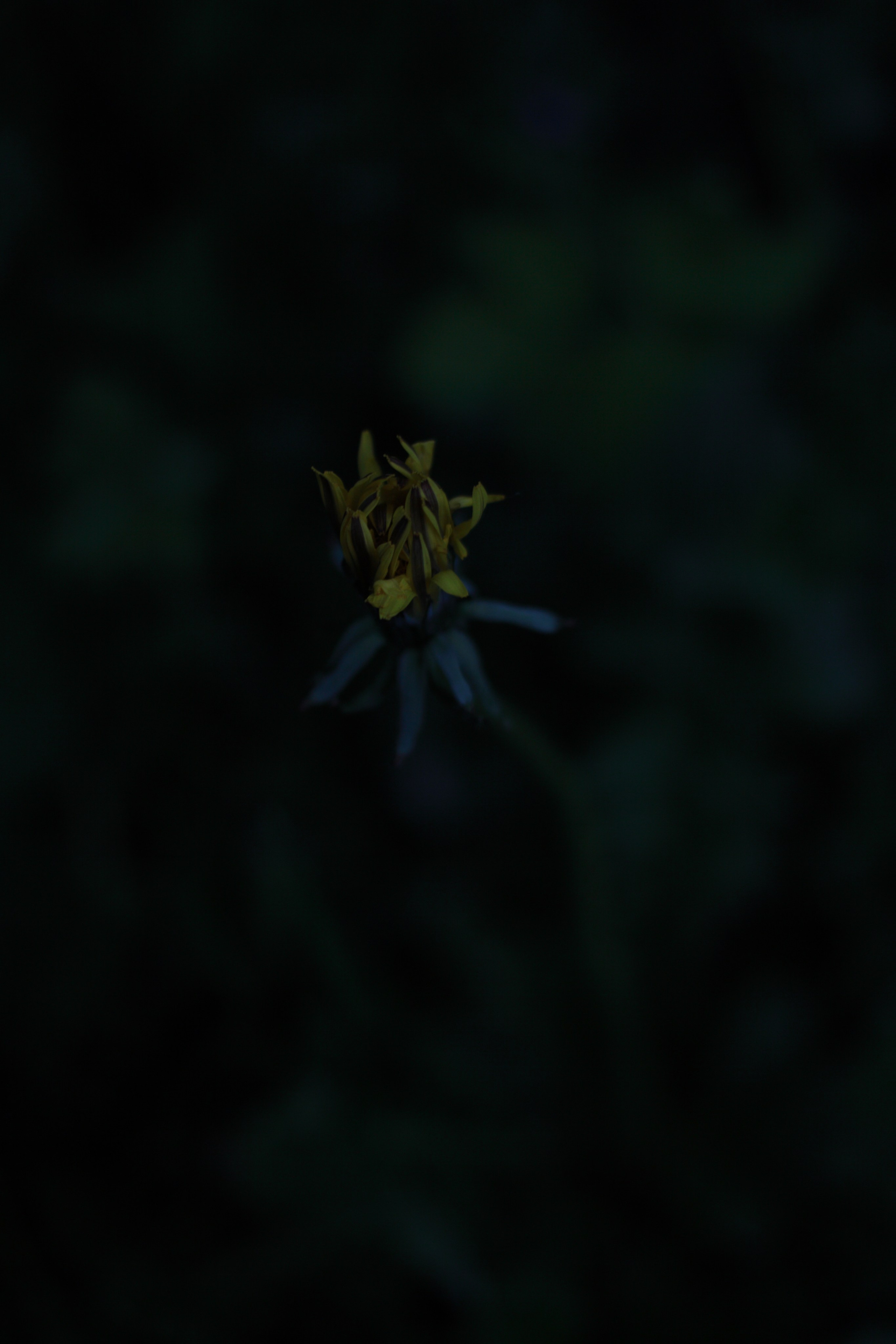 Старое природное, отбирала Katamount (Катерина Горохова). Главная